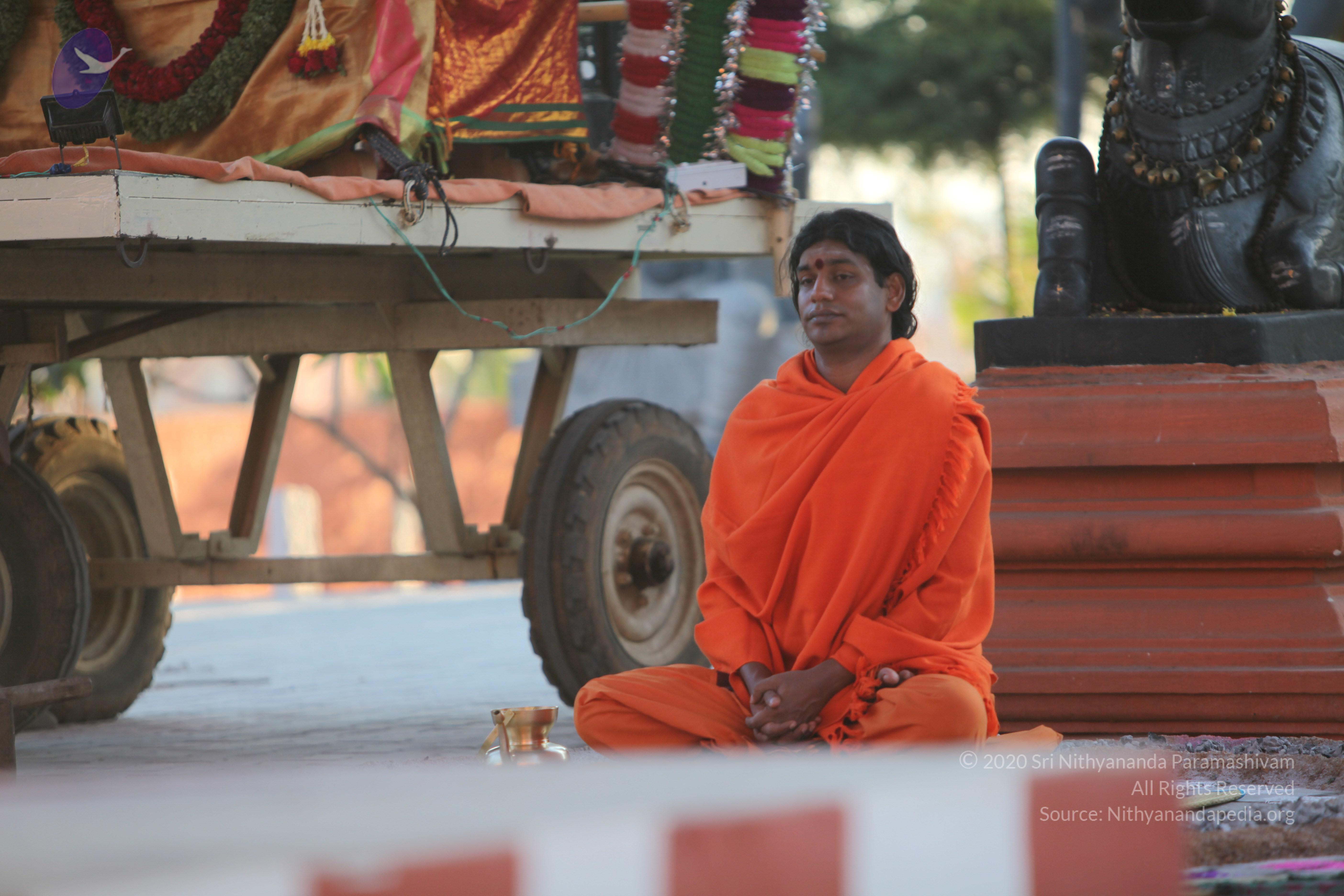 20110211_Photo_1017_IMG_7243_CMP_WM