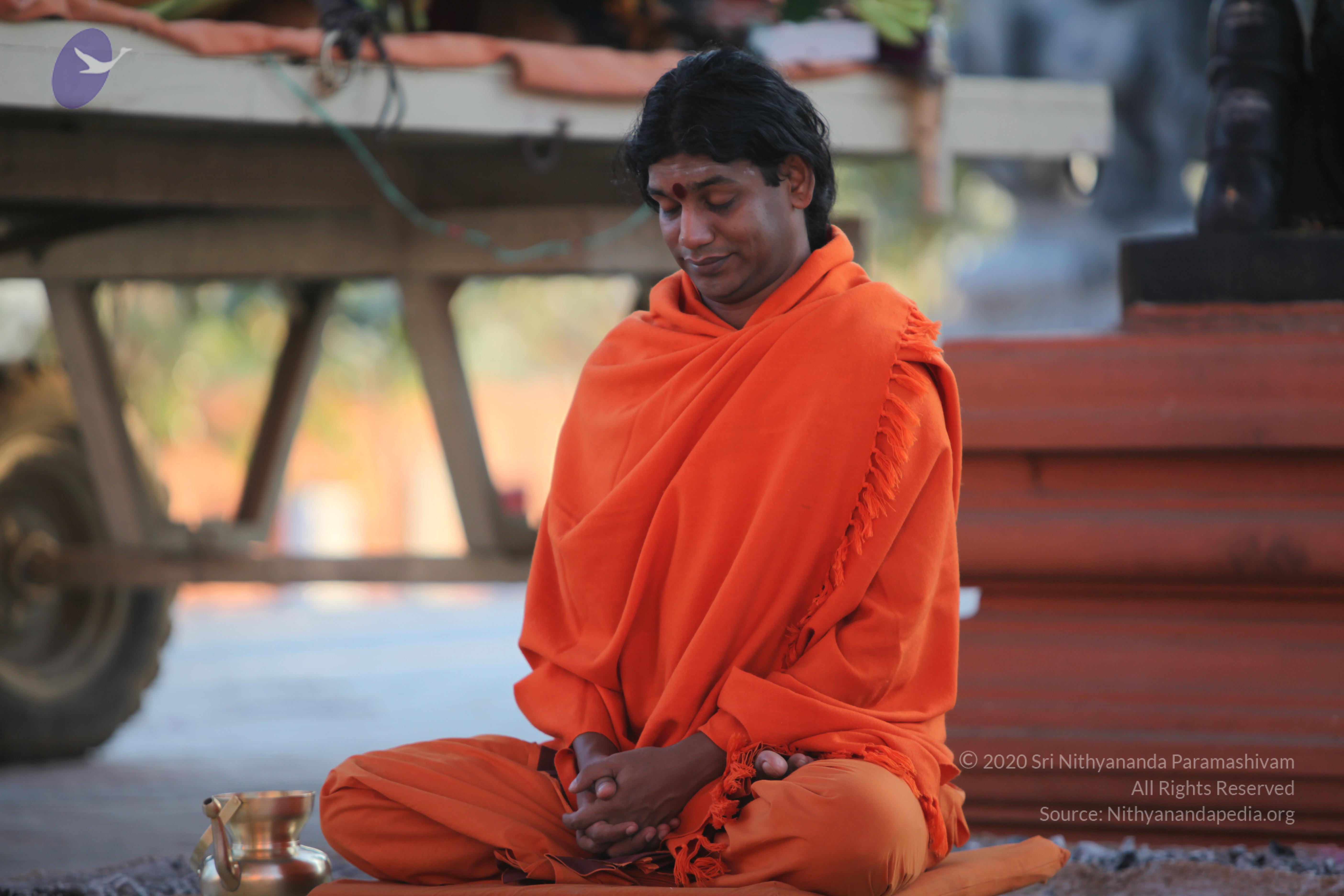 20110211_Photo_1021_IMG_7258_CMP_WM