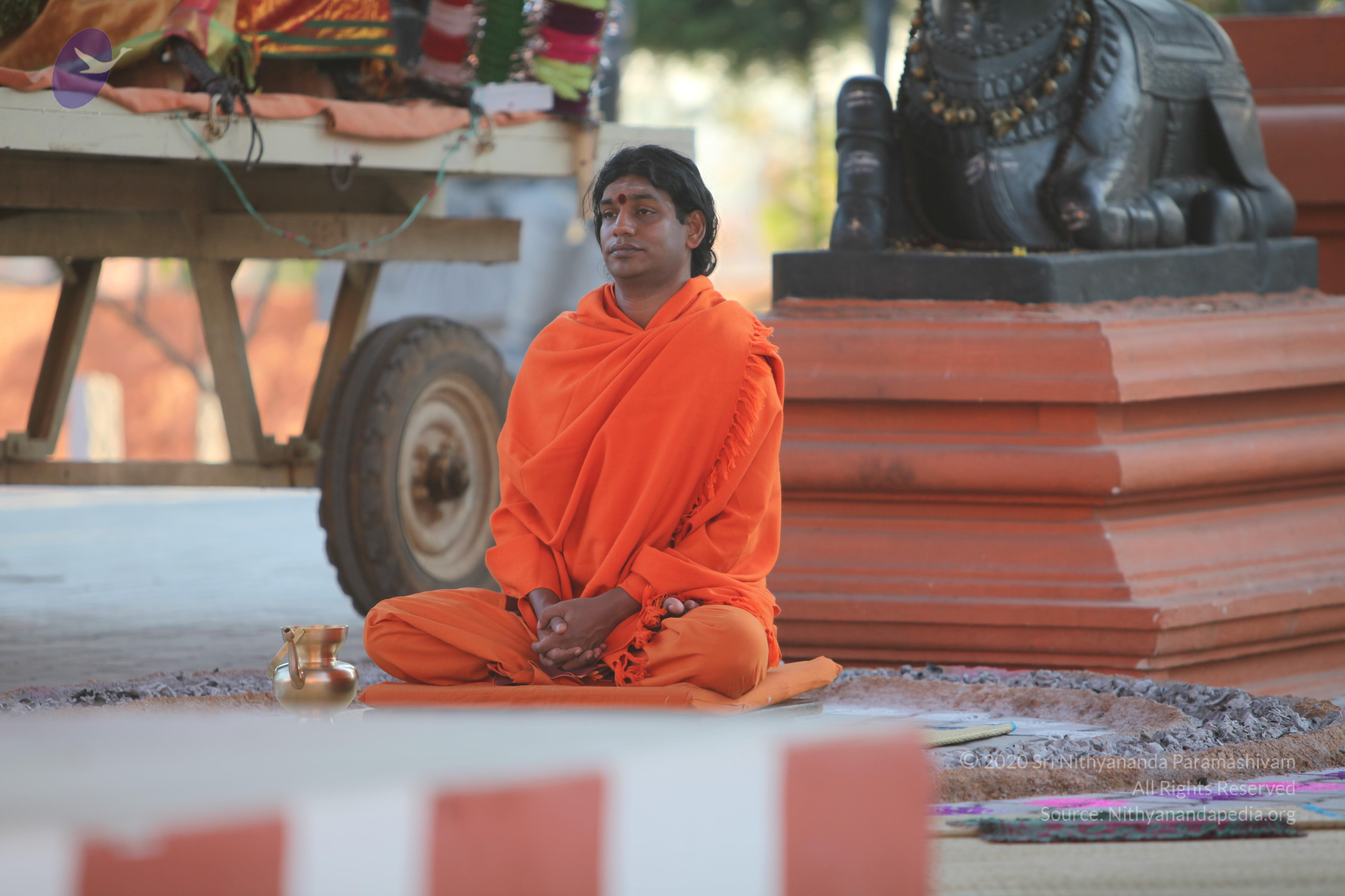 20110211_Photo_1022_IMG_7249_CMP_WM