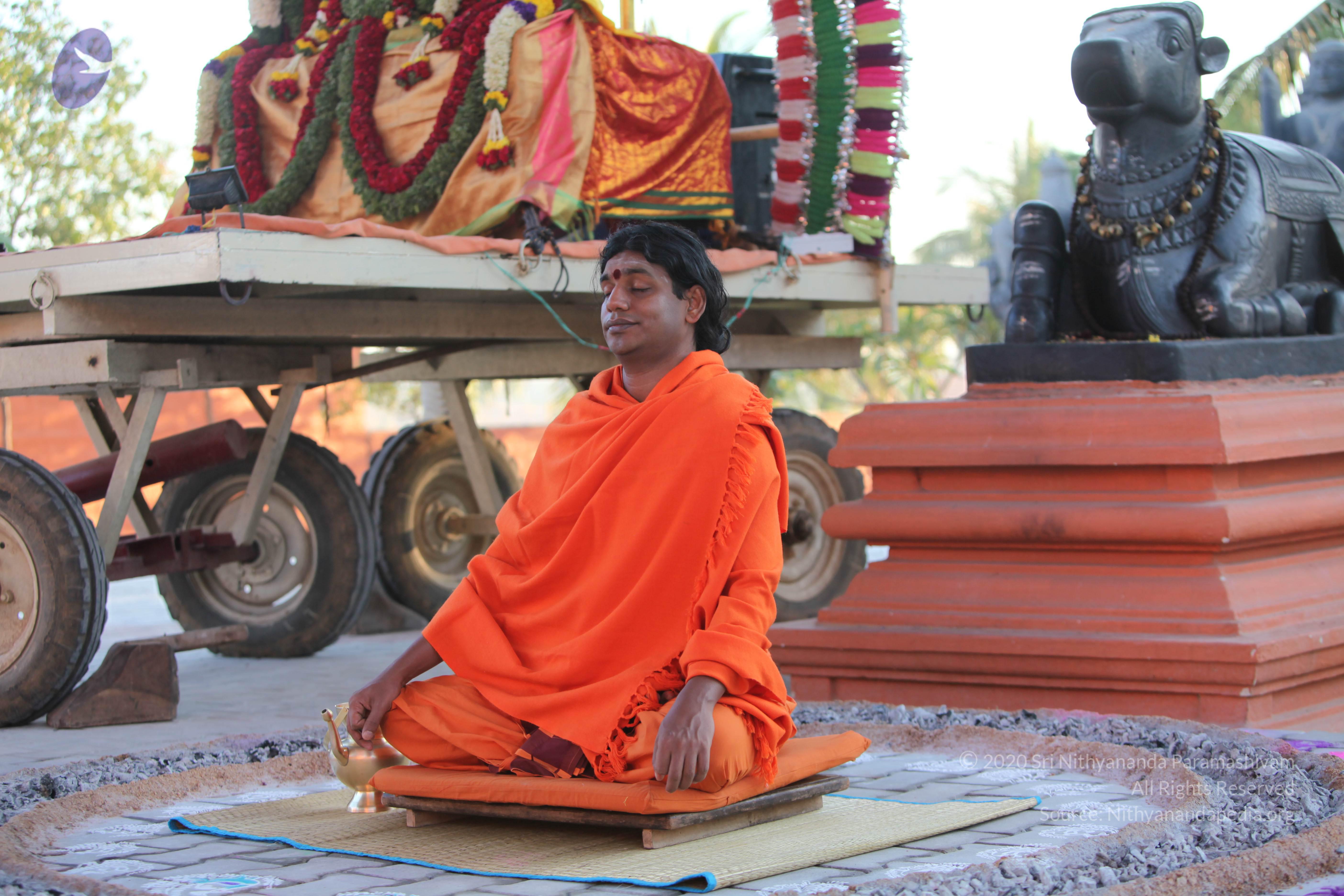 20110211_Photo_1028_IMG_7219_CMP_WM