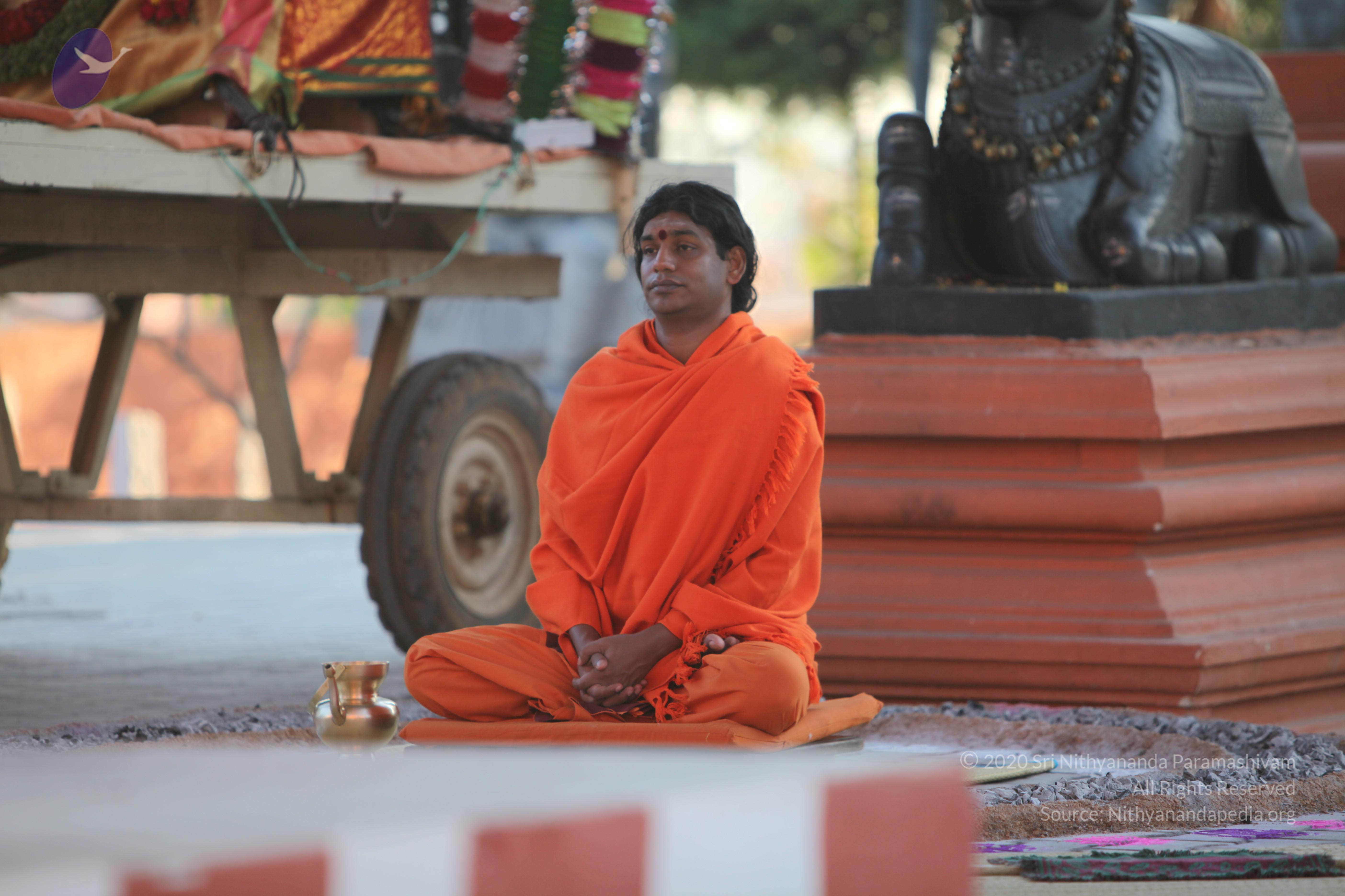 20110211_Photo_1030_IMG_7250_CMP_WM