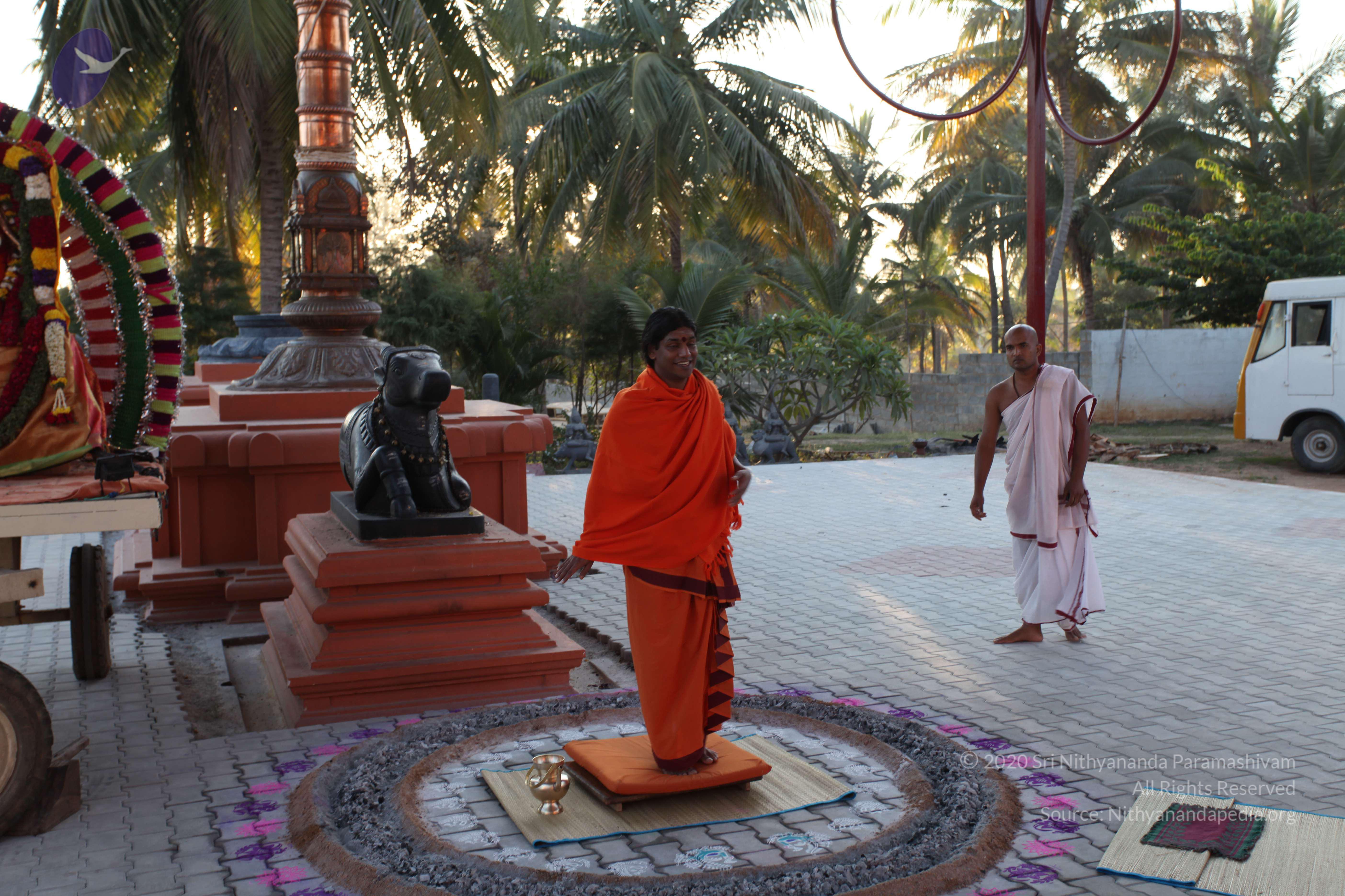 20110211_Photo_1033_IMG_7193_CMP_WM