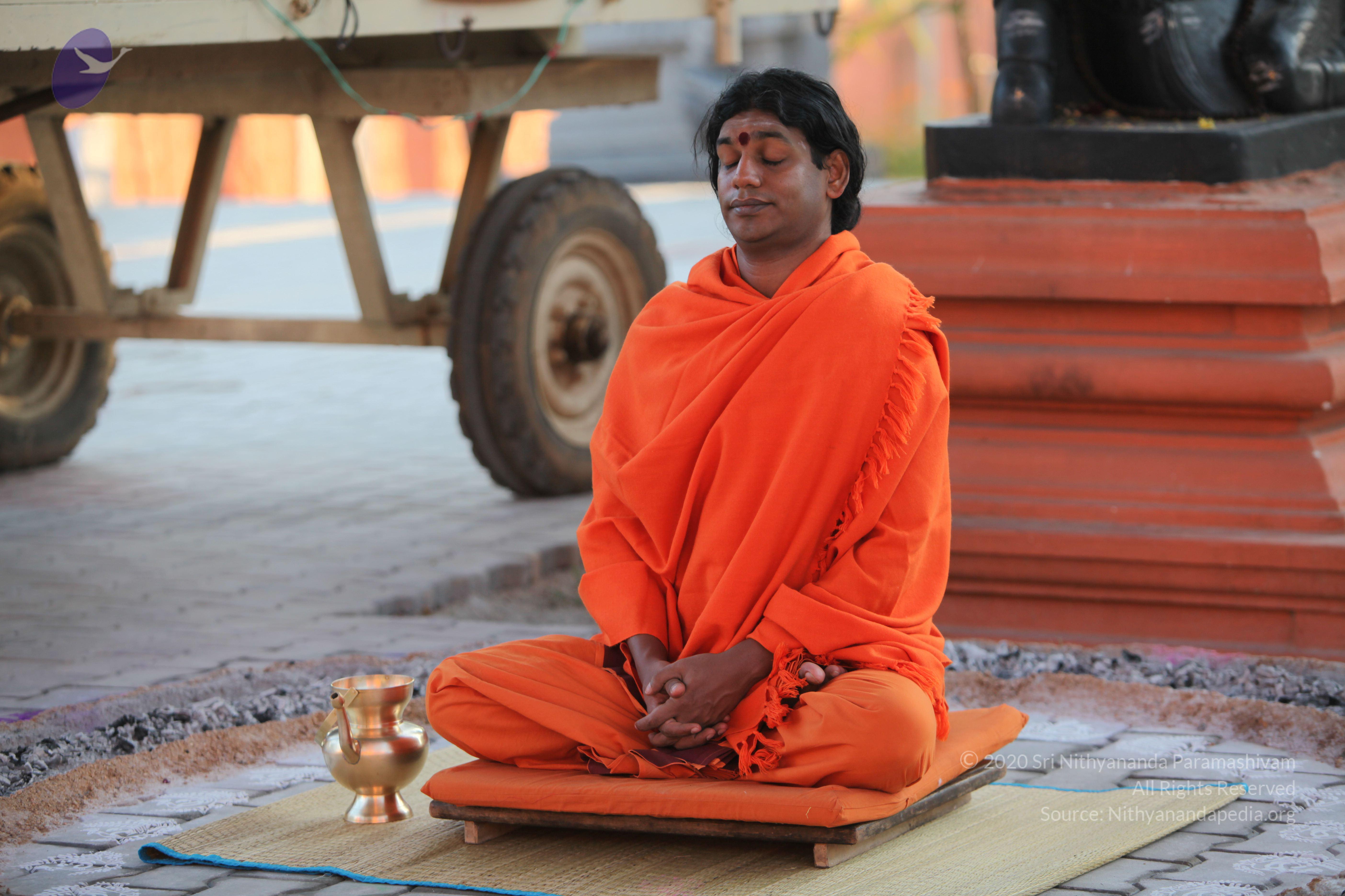 20110211_Photo_1036_IMG_7241_CMP_WM