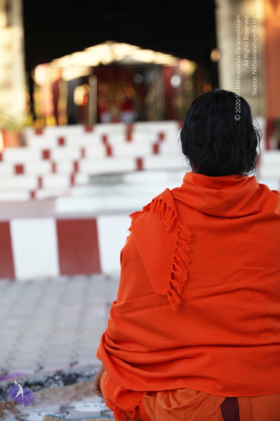 20110211_Photo_1043_IMG_7217_CMP_WM