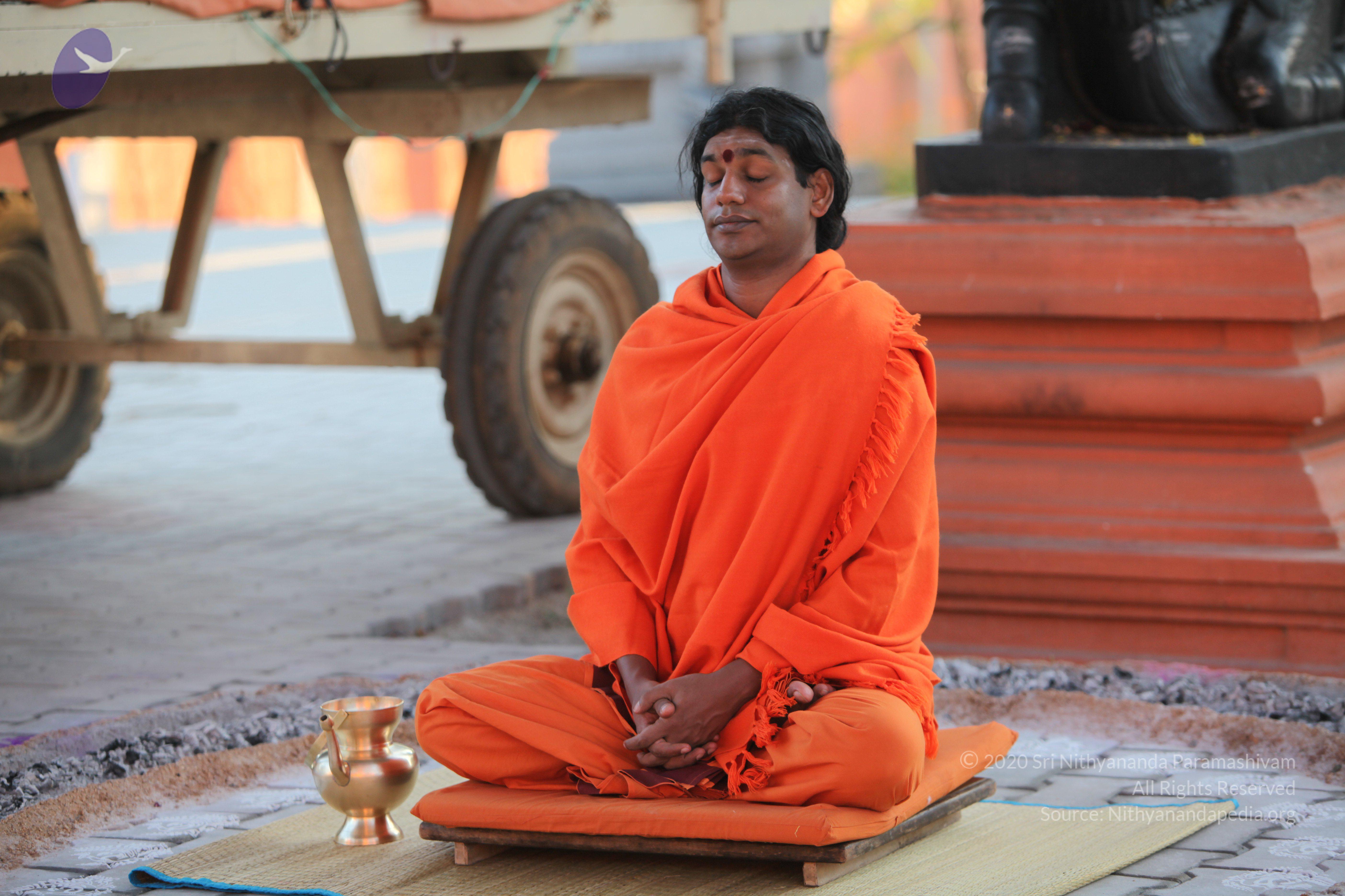 20110211_Photo_1045_IMG_7242_CMP_WM