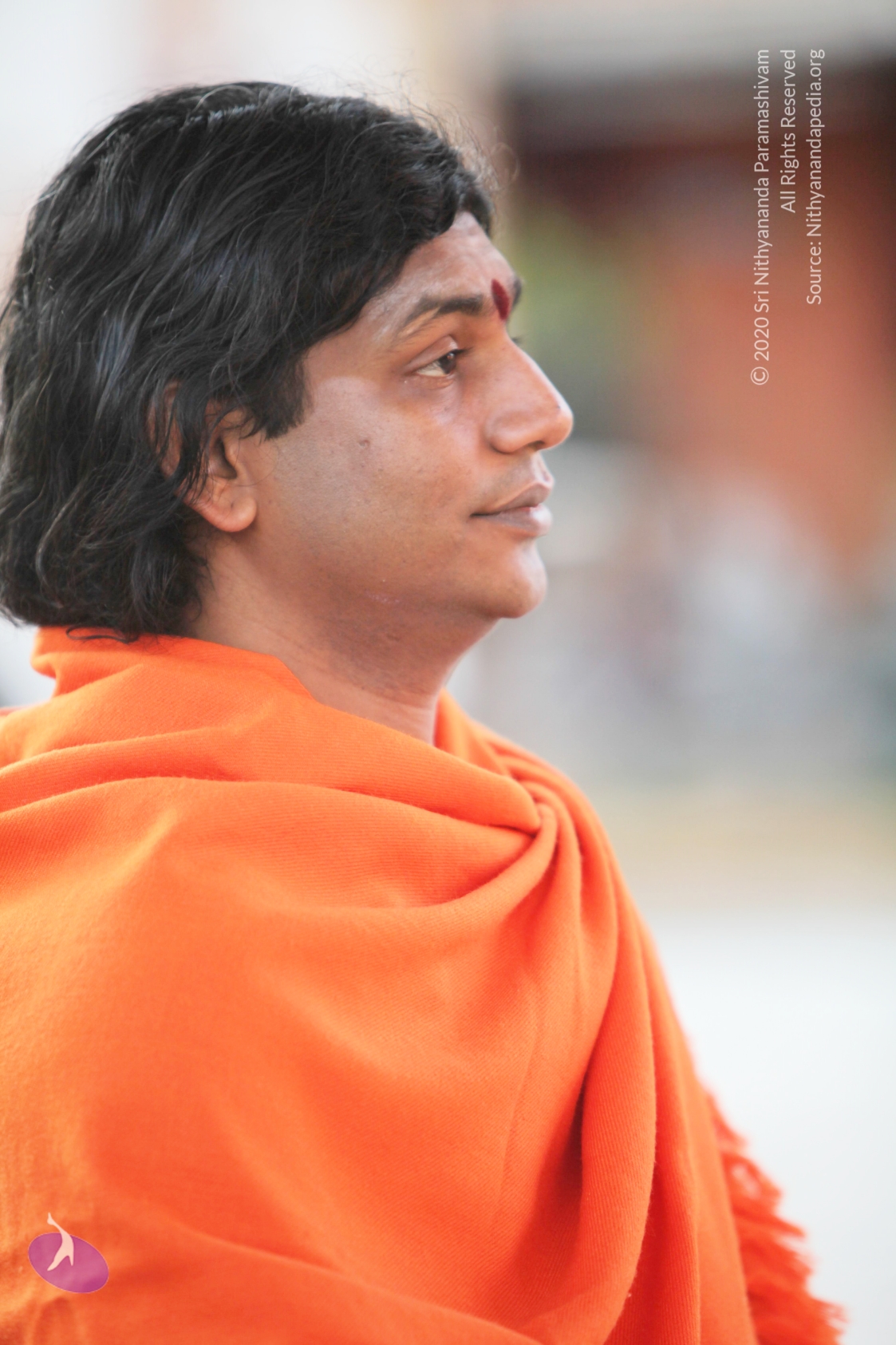 20110211_Photo_1046_IMG_7198_CMP_WM