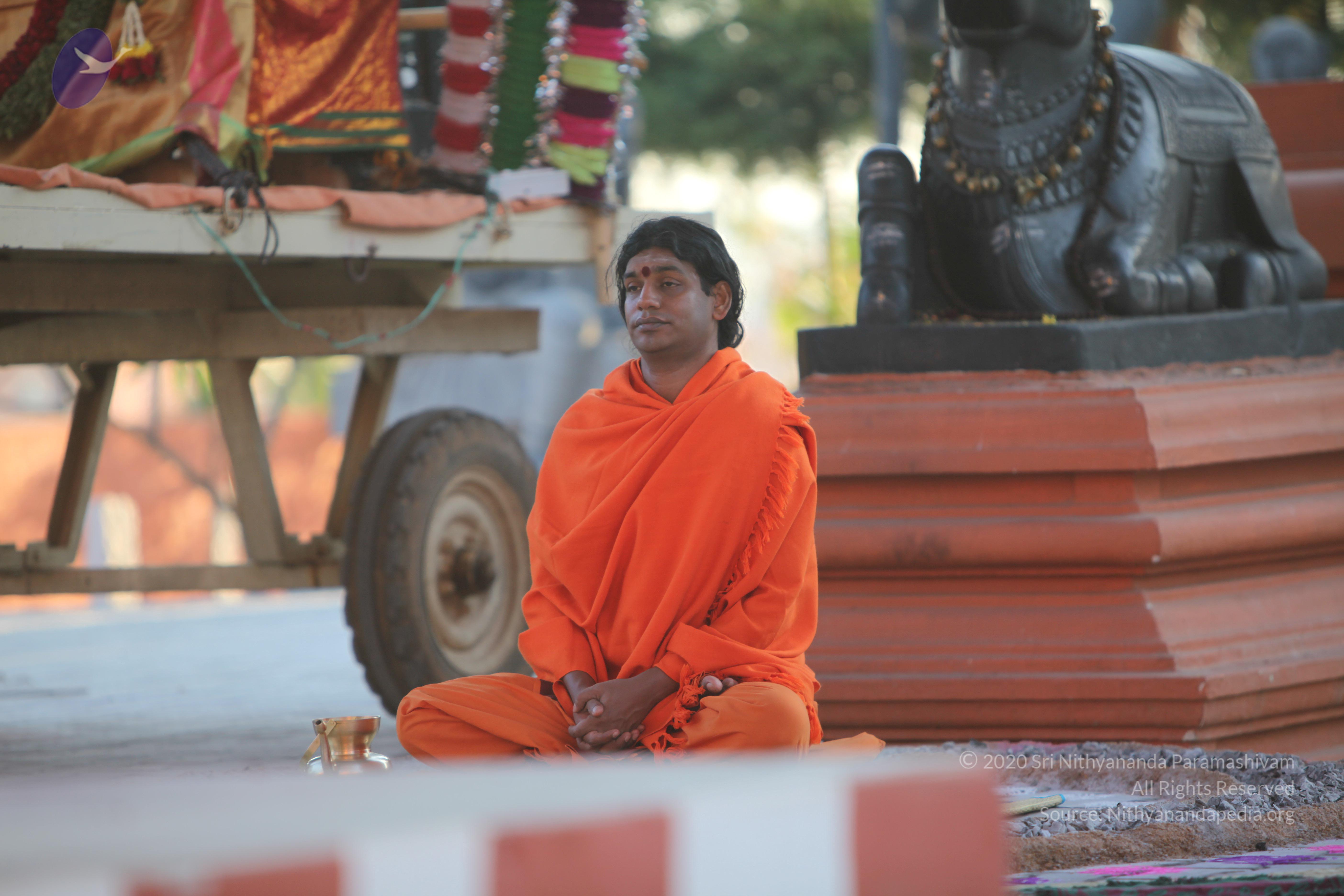 20110211_Photo_1050_IMG_7247_CMP_WM