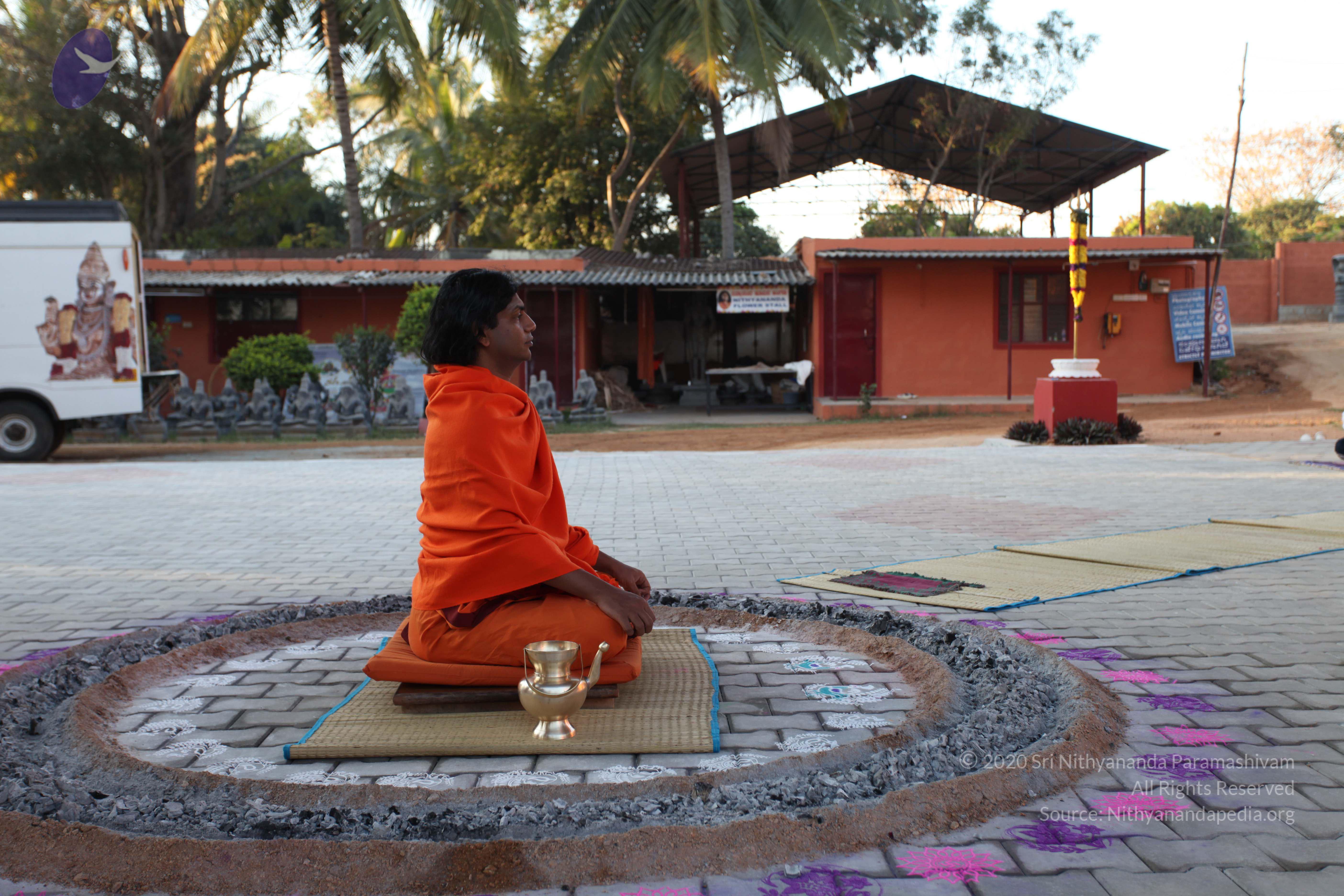 20110211_Photo_1056_IMG_7195_CMP_WM