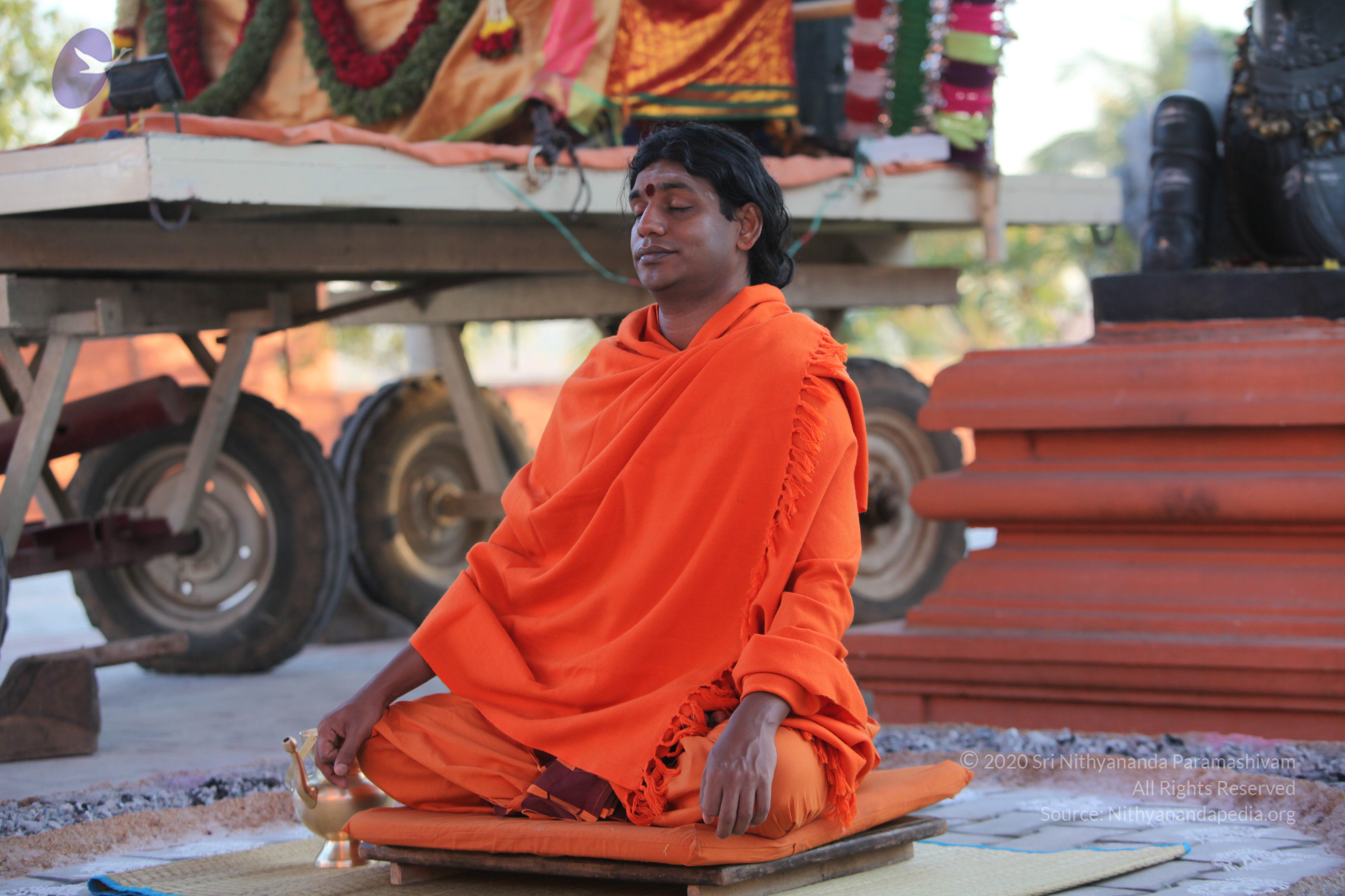 20110211_Photo_1063_IMG_7222_CMP_WM