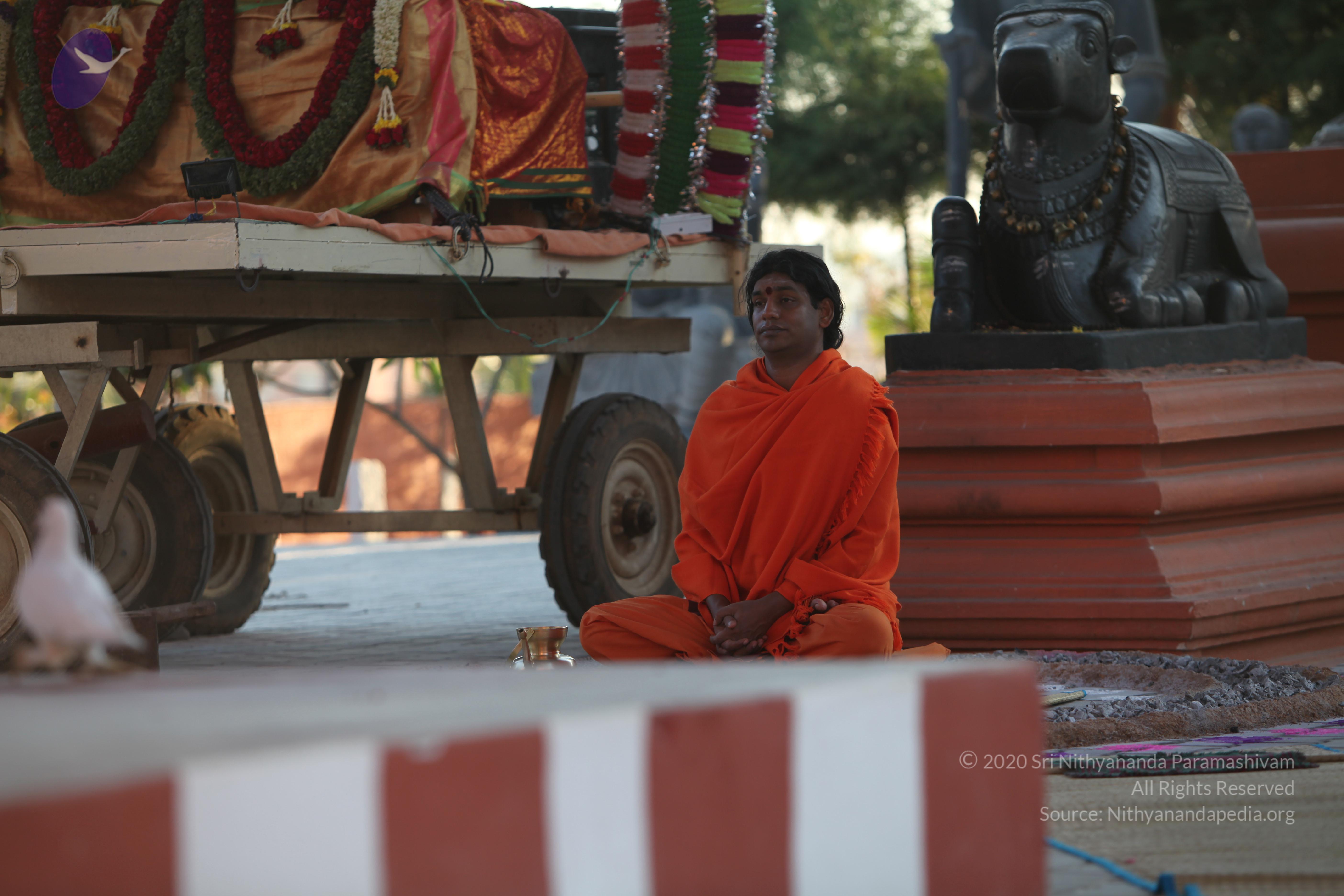 20110211_Photo_1069_IMG_7245_CMP_WM