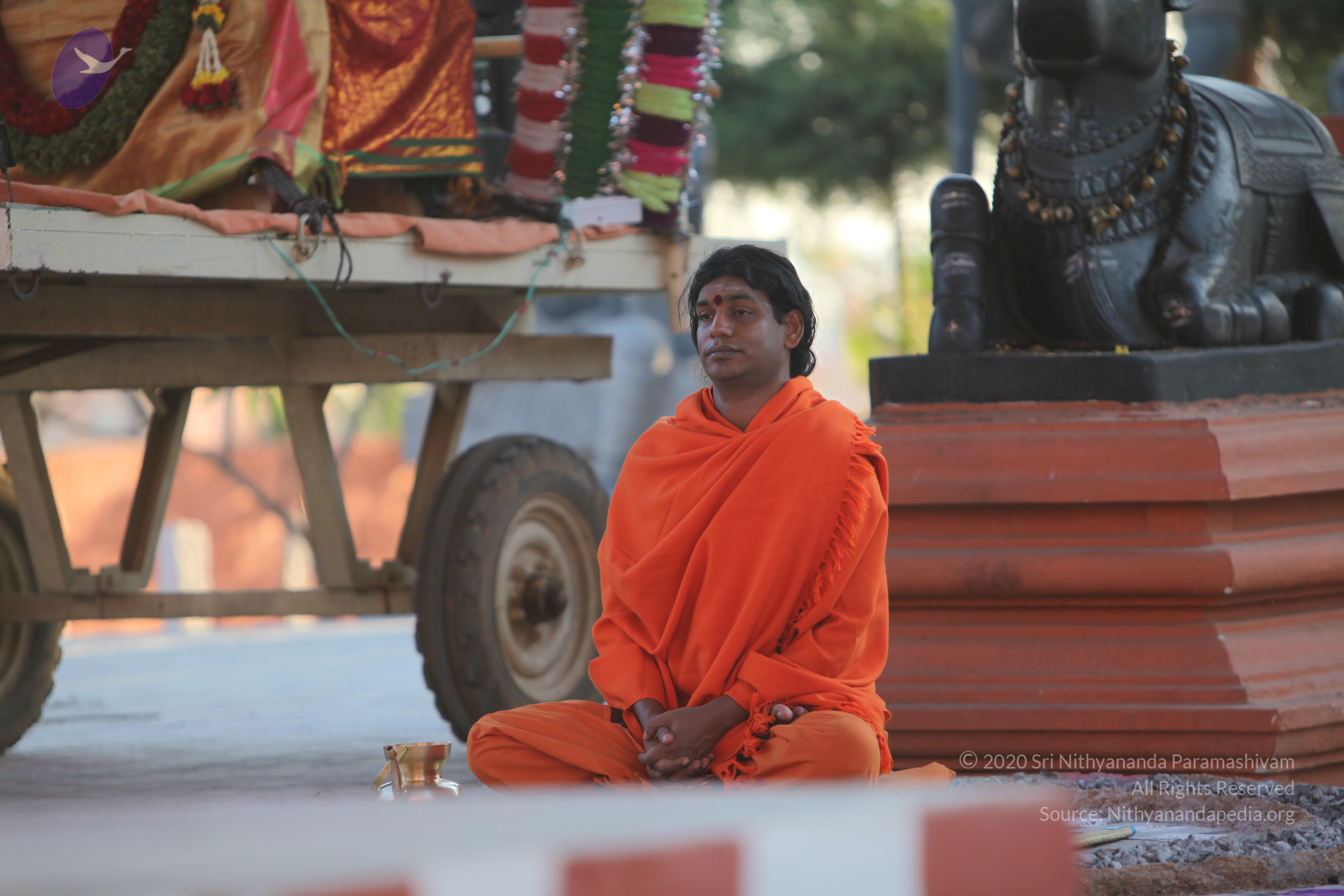 20110211_Photo_1071_IMG_7248_CMP_WM