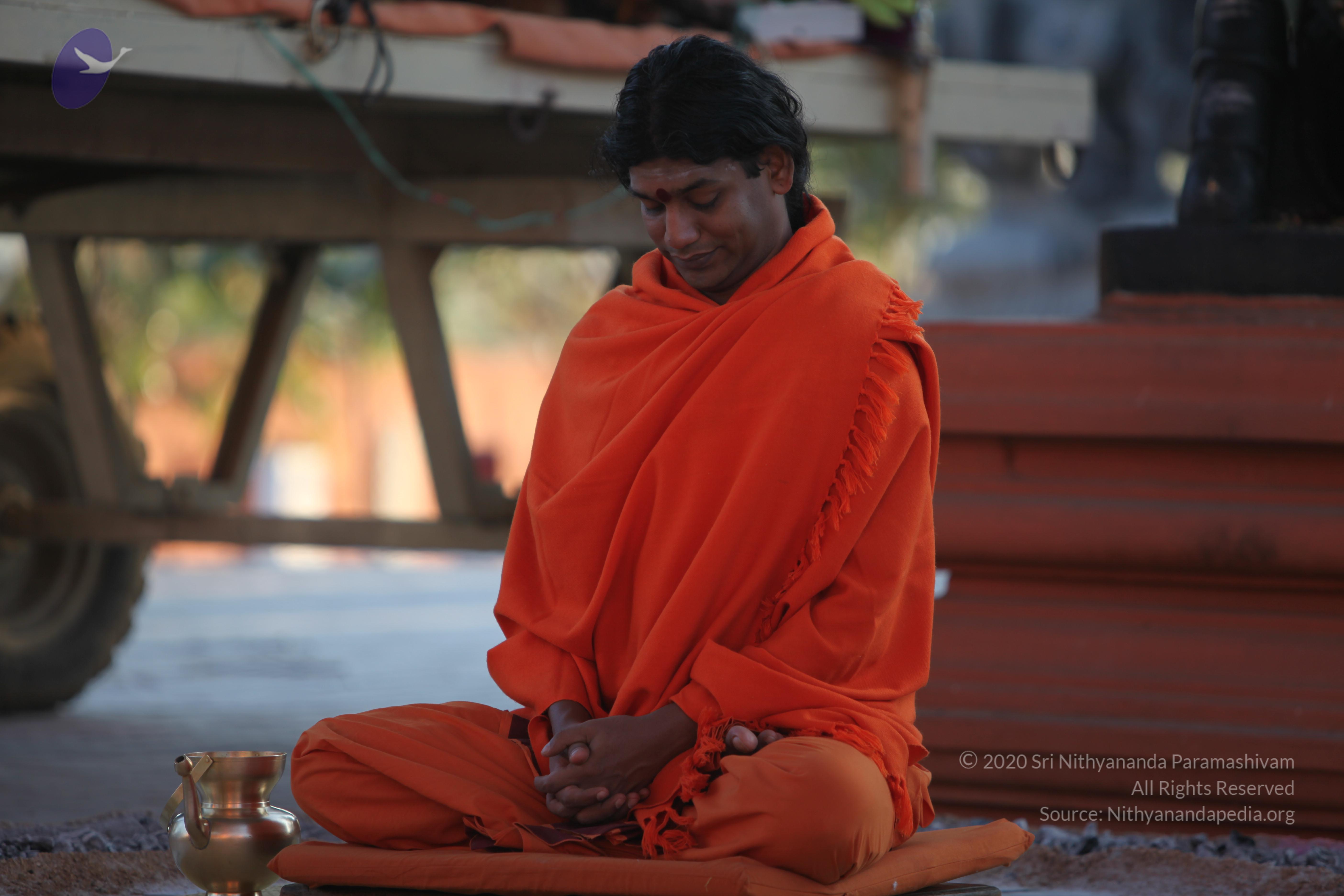 20110211_Photo_1072_IMG_7254_CMP_WM