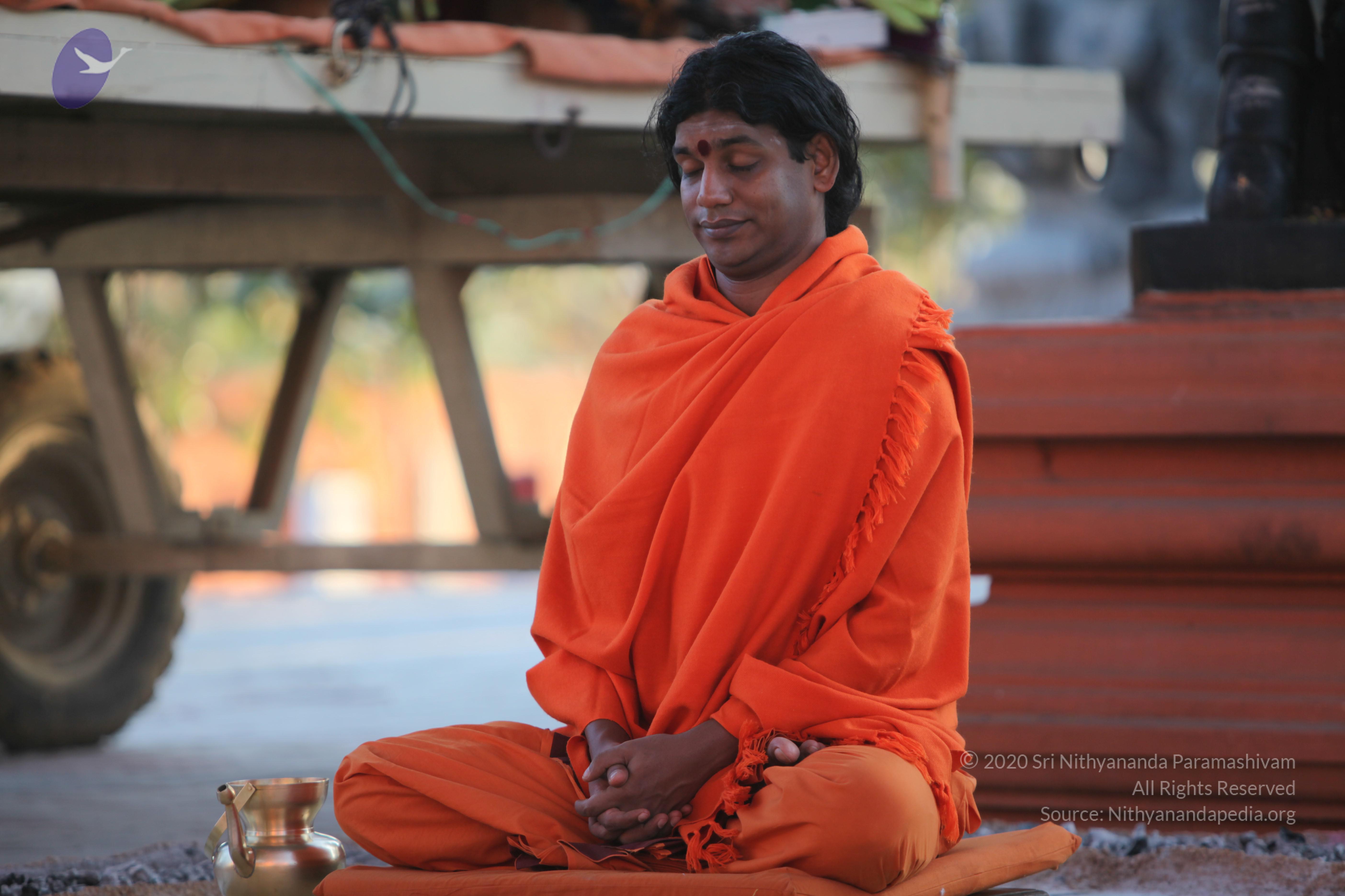 20110211_Photo_1073_IMG_7263_CMP_WM