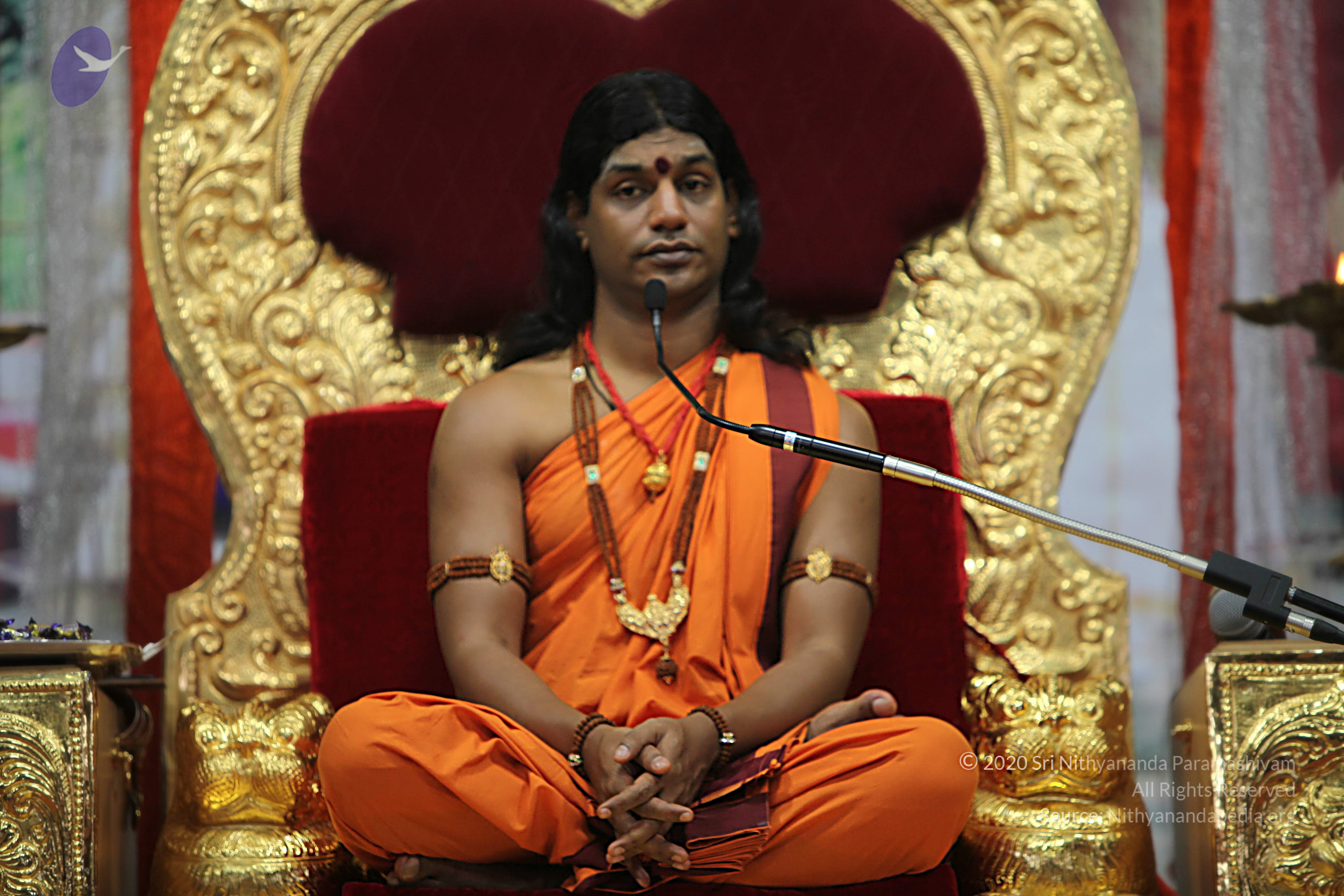 20110211_Photo_1023_IMG_7413_CMP_WM