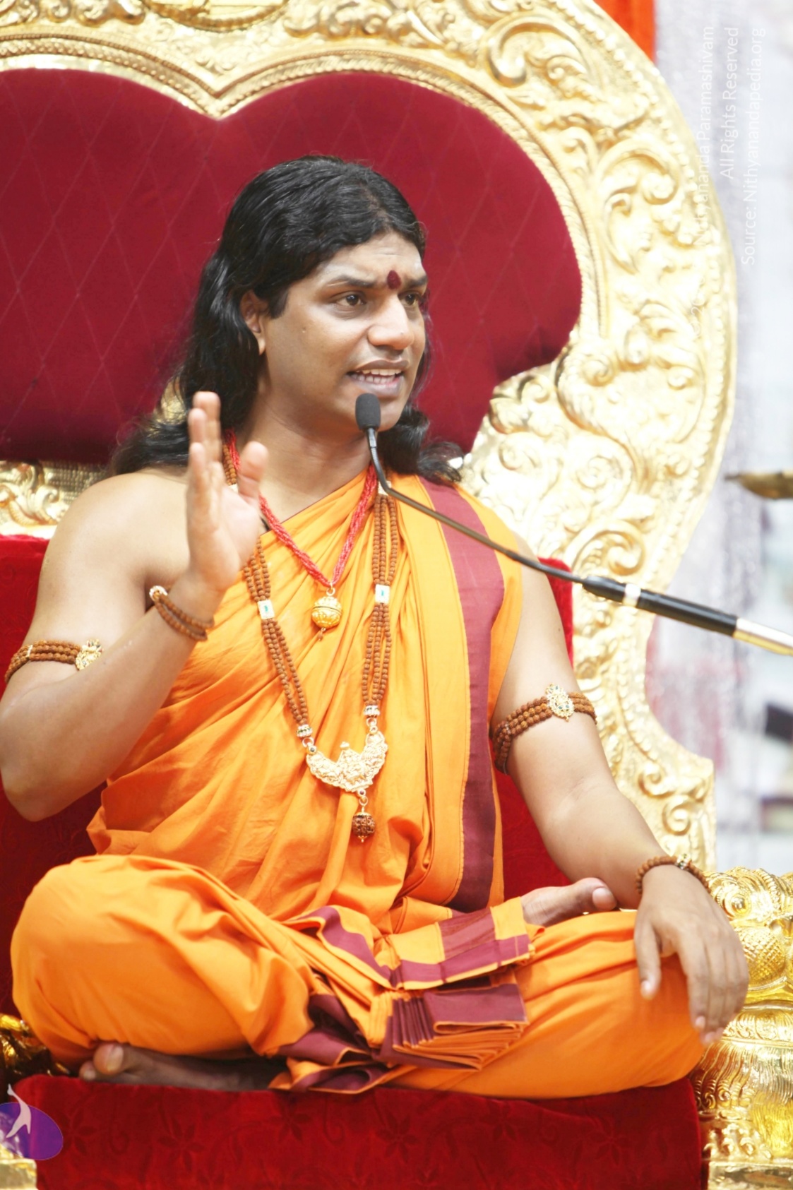 20110211_Photo_1034_IMG_7329_CMP_WM