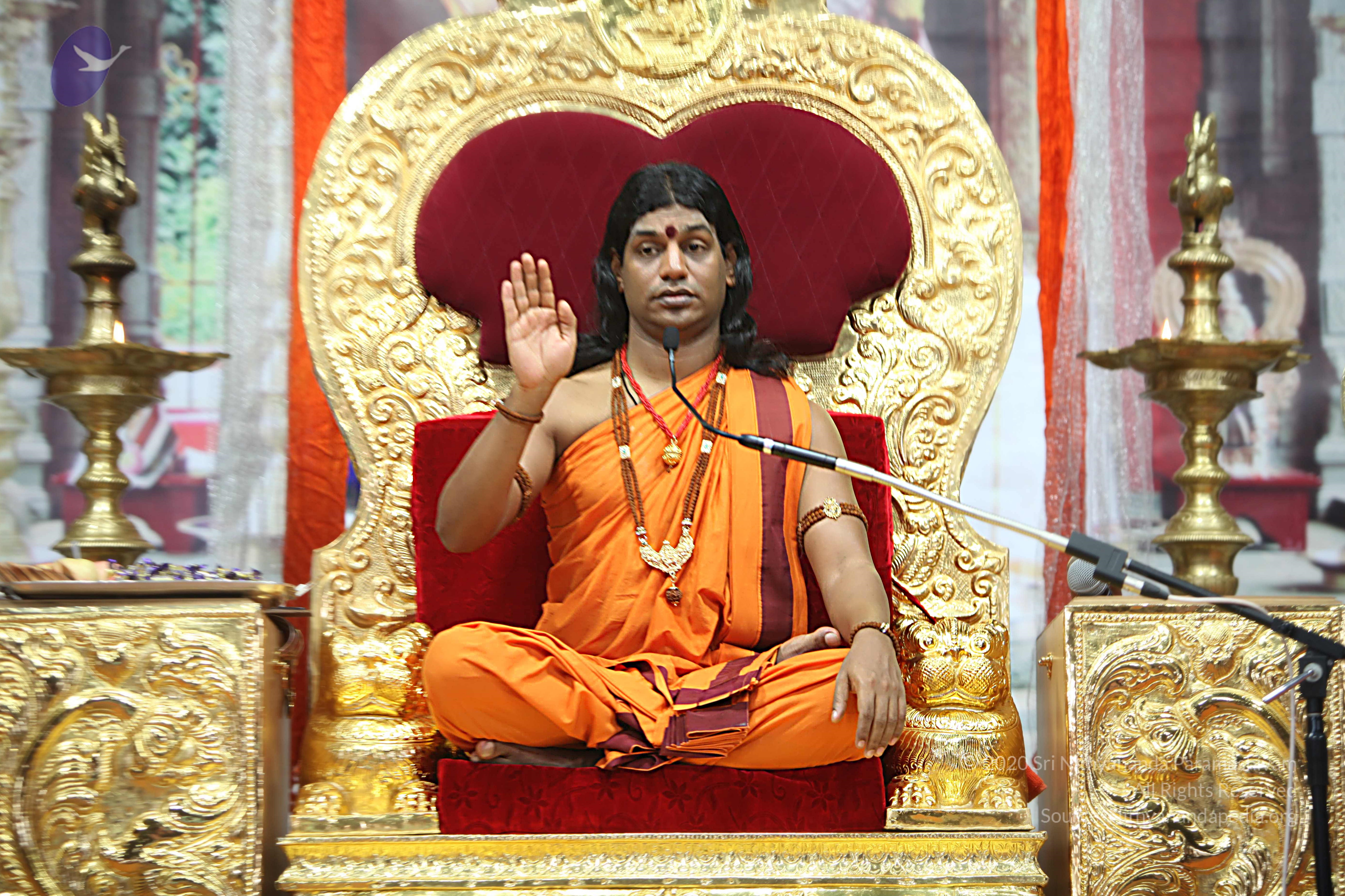 20110211_Photo_1053_IMG_7419_CMP_WM