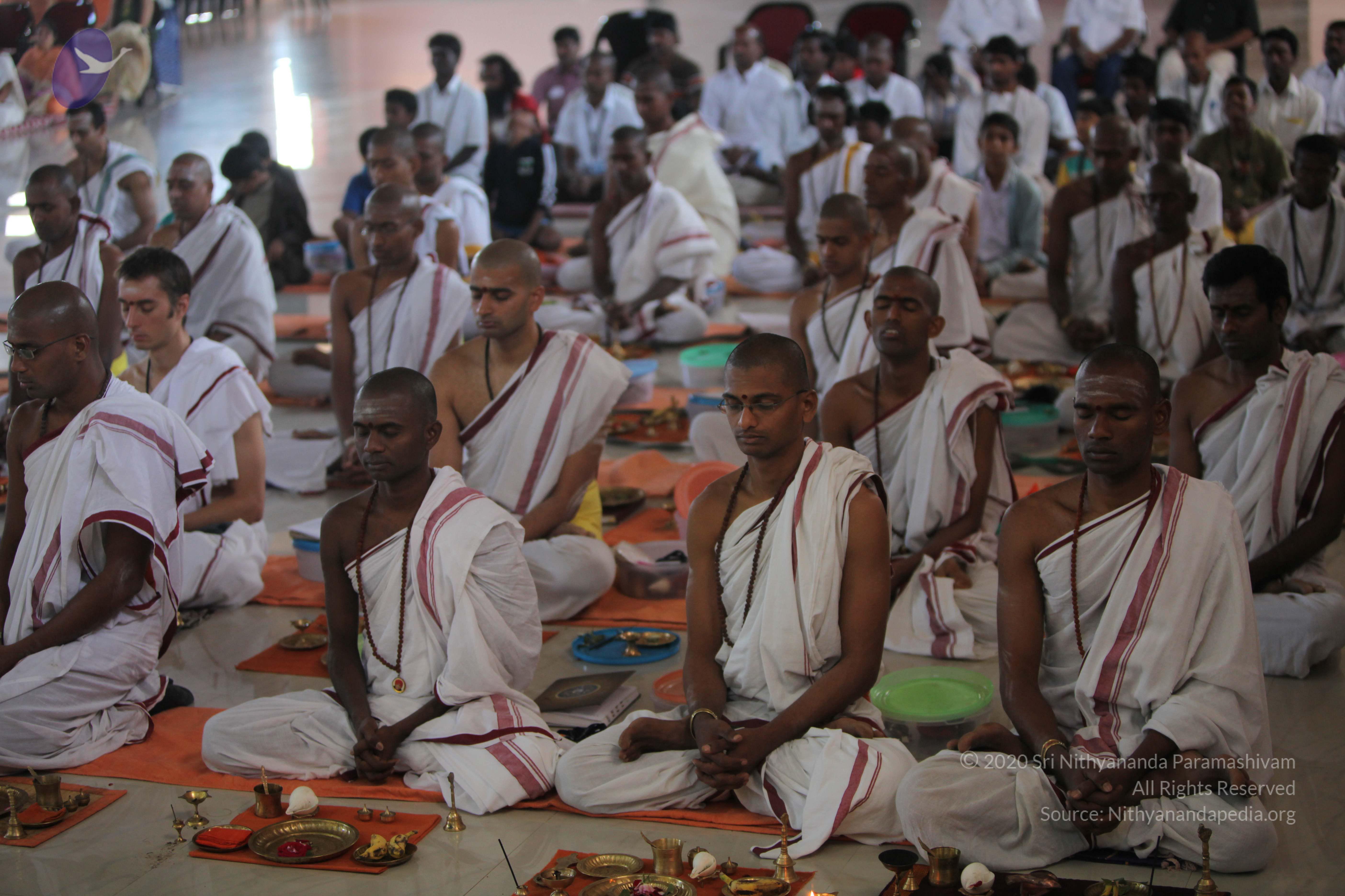 20110211_Photo_1055_IMG_7408_CMP_WM