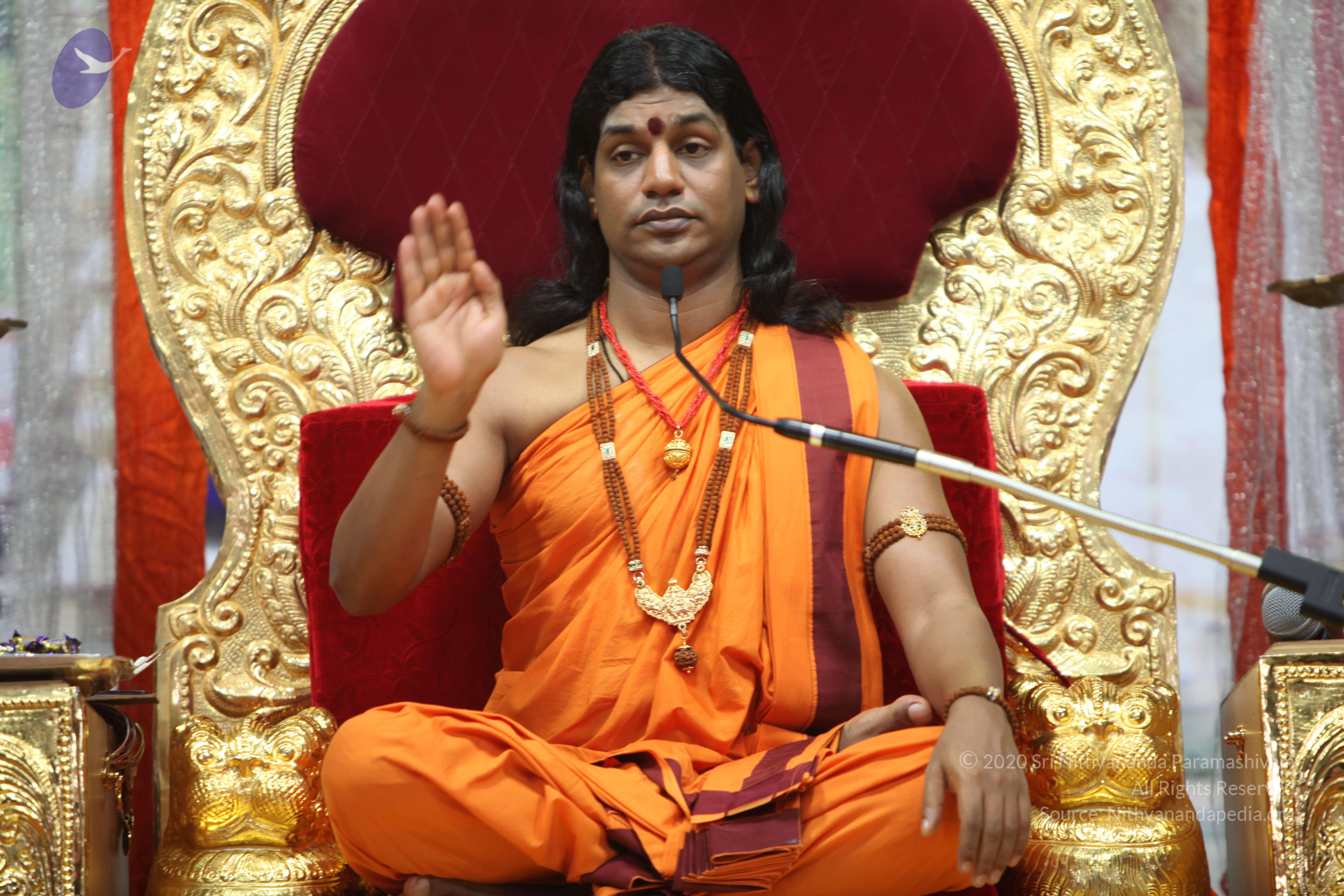 20110211_Photo_1059_IMG_7423_CMP_WM