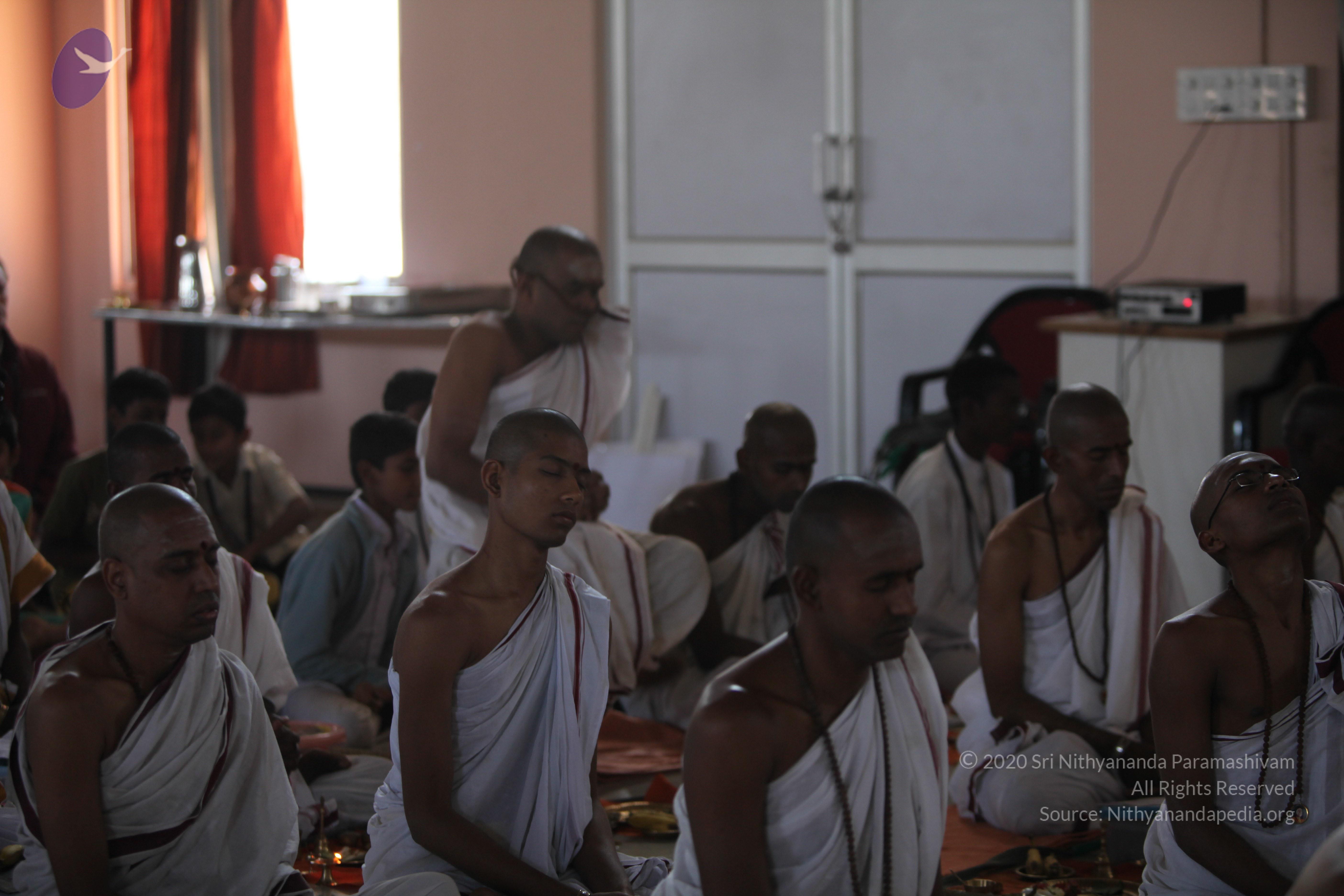 20110211_Photo_1062_IMG_7441_CMP_WM