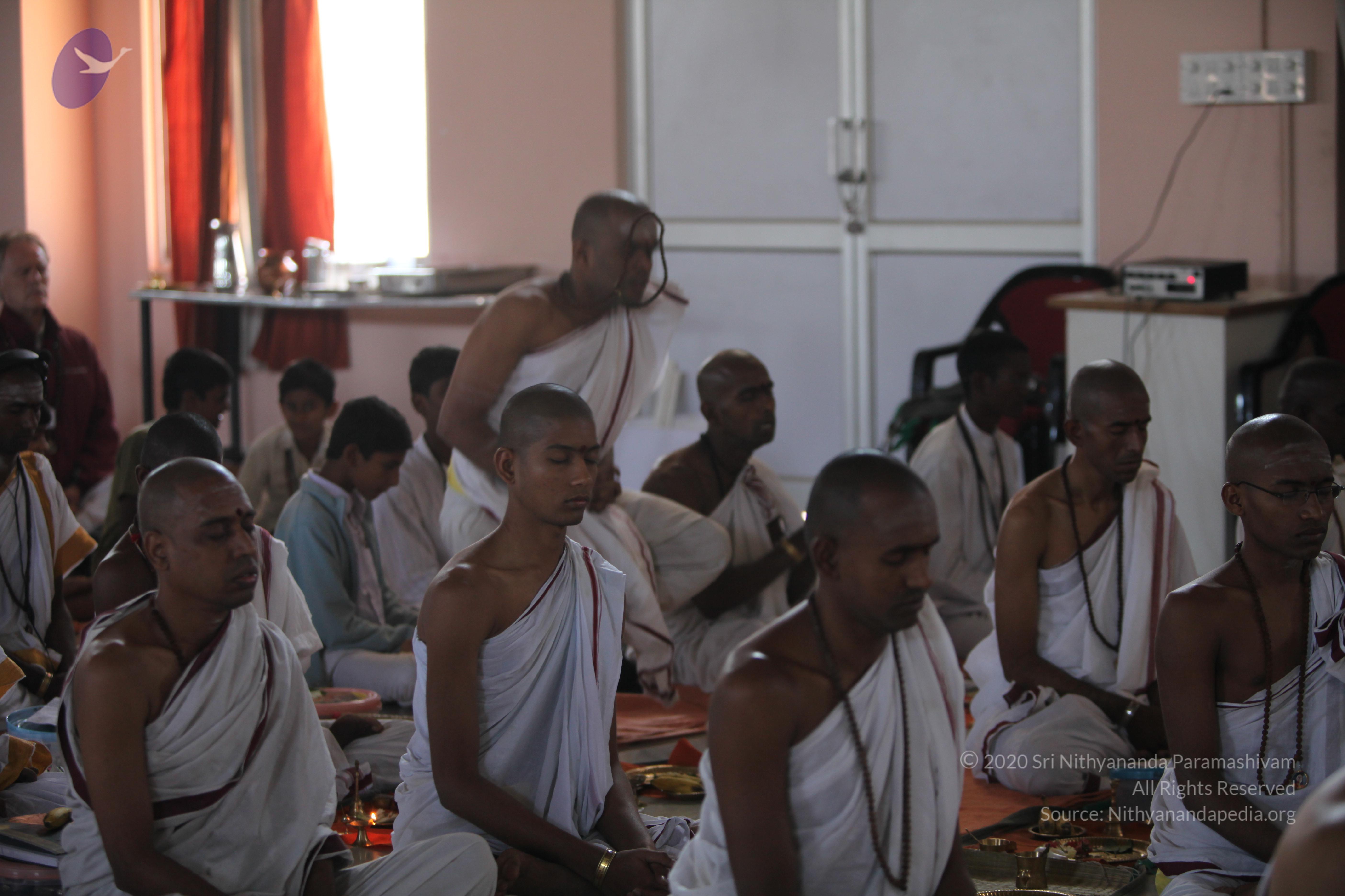 20110211_Photo_1097_IMG_7439_CMP_WM