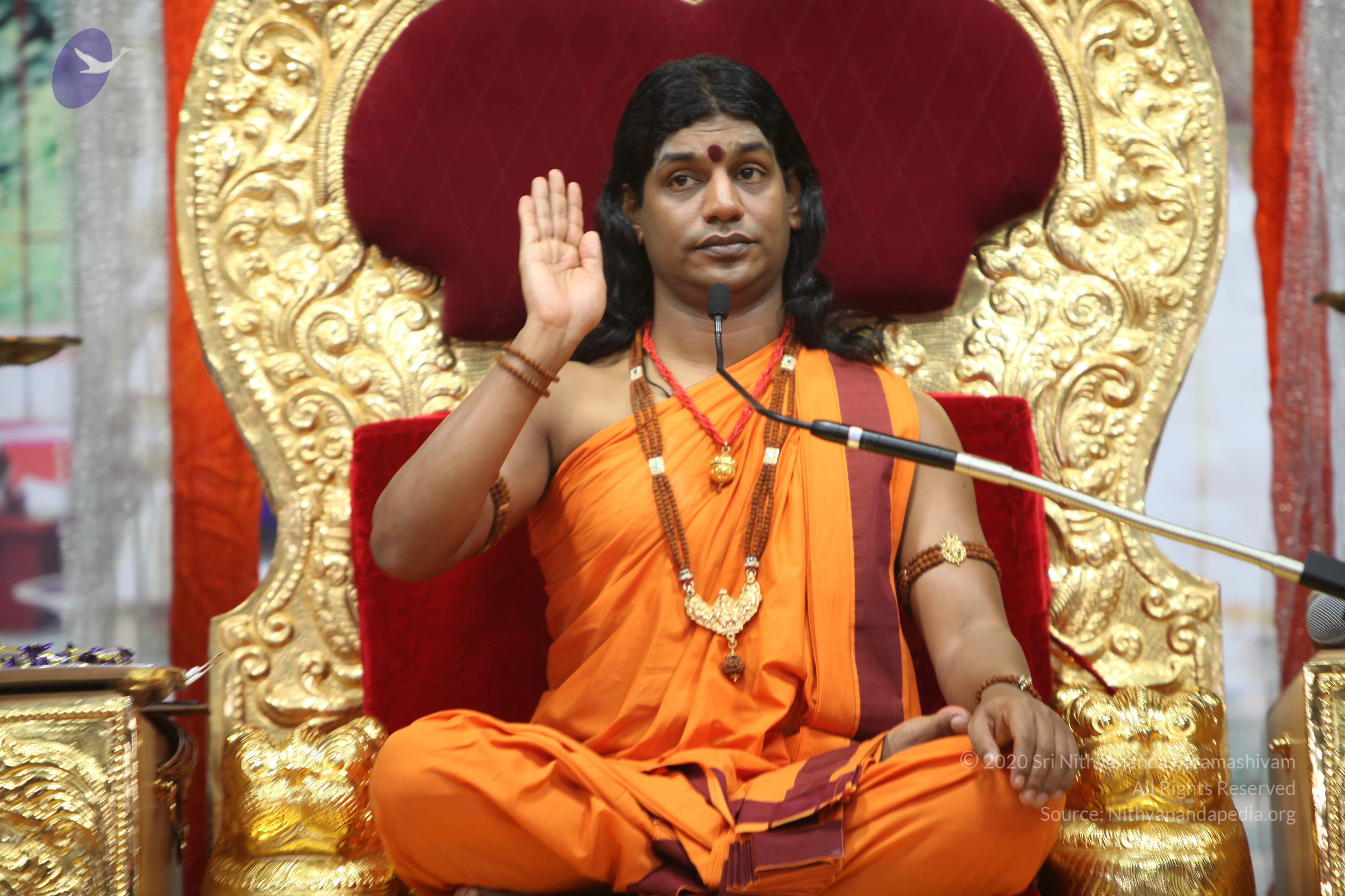 20110211_Photo_1103_IMG_7482_CMP_WM