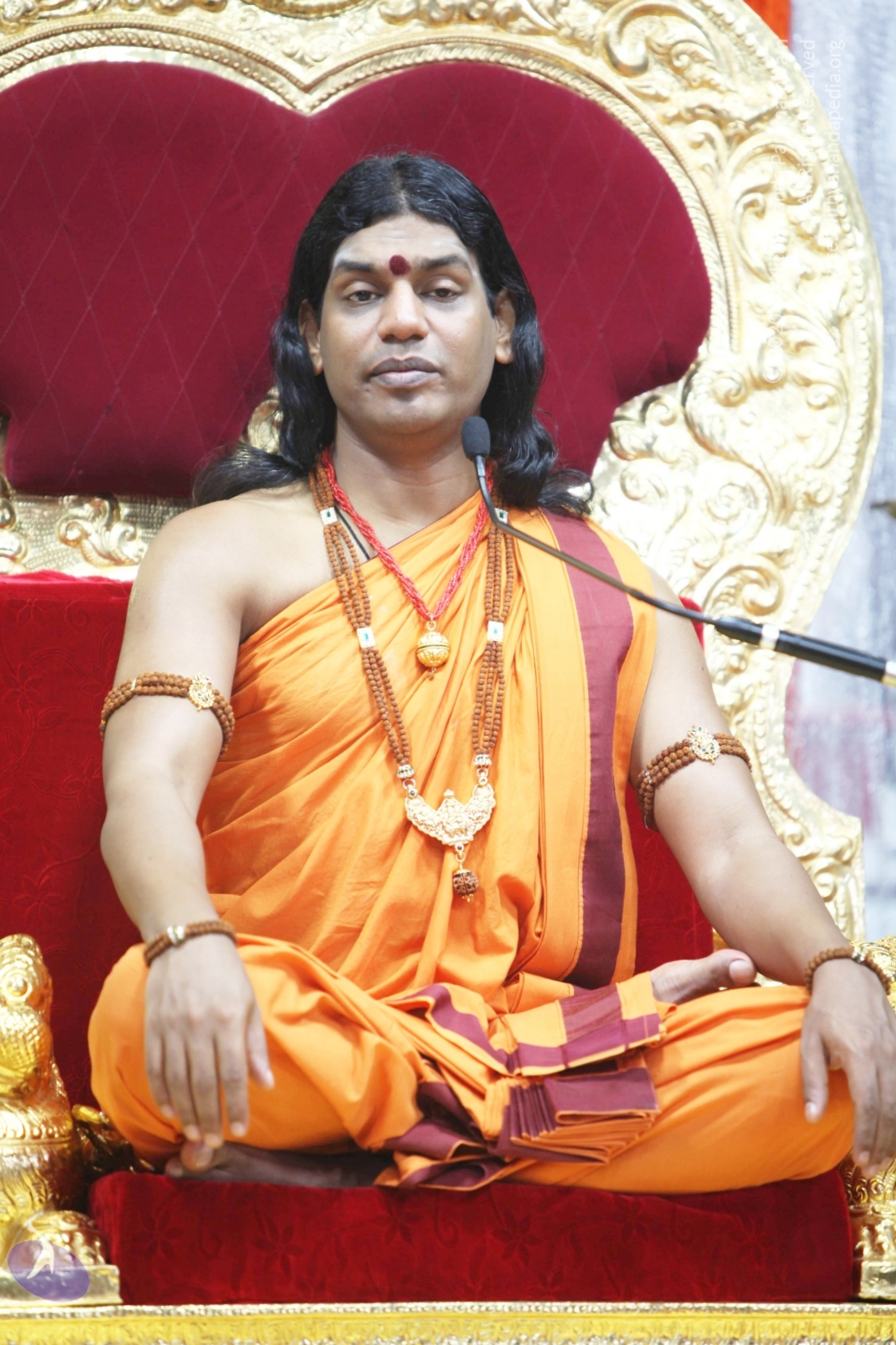 20110211_Photo_1107_IMG_7334_CMP_WM