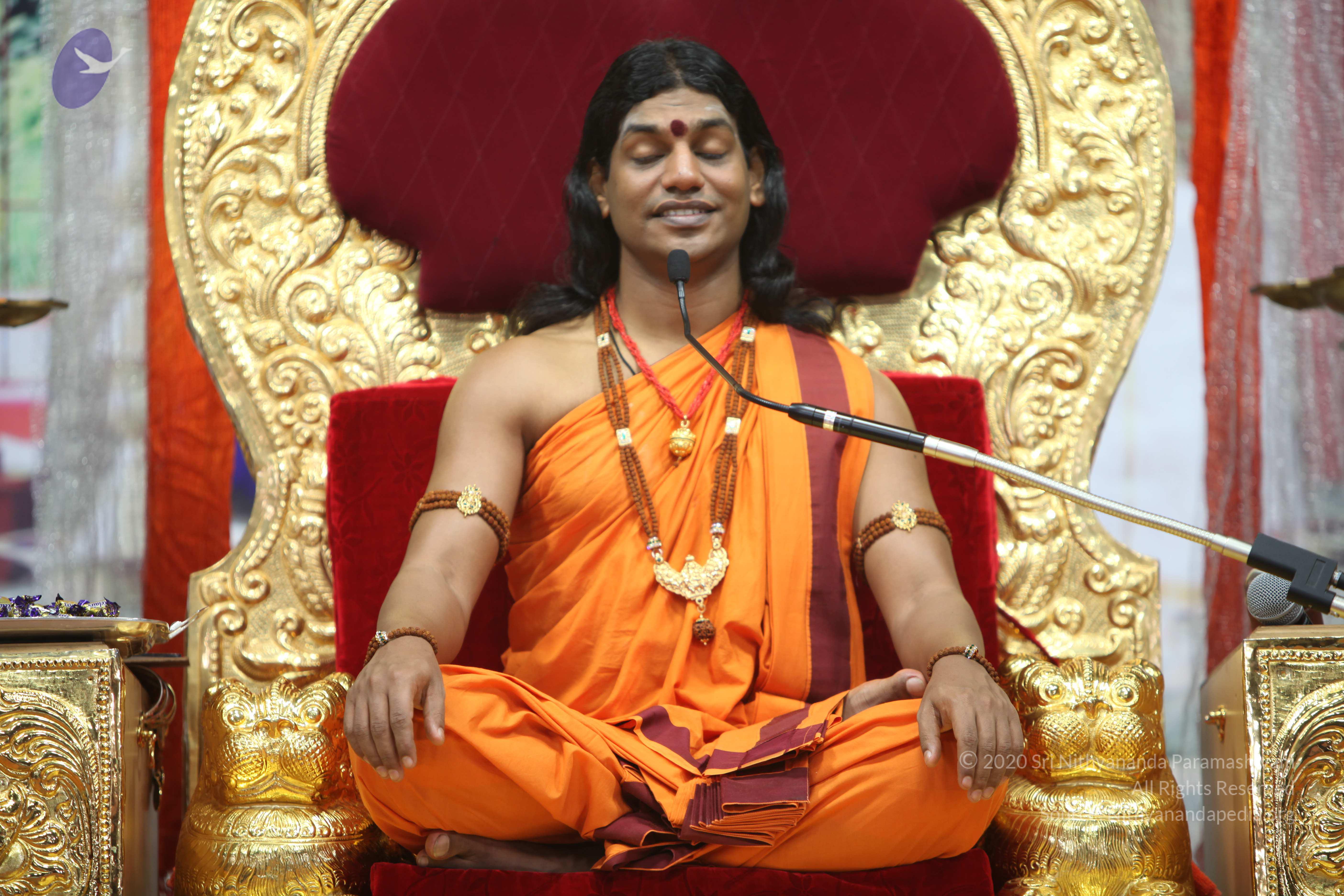 20110211_Photo_1128_IMG_7320_CMP_WM