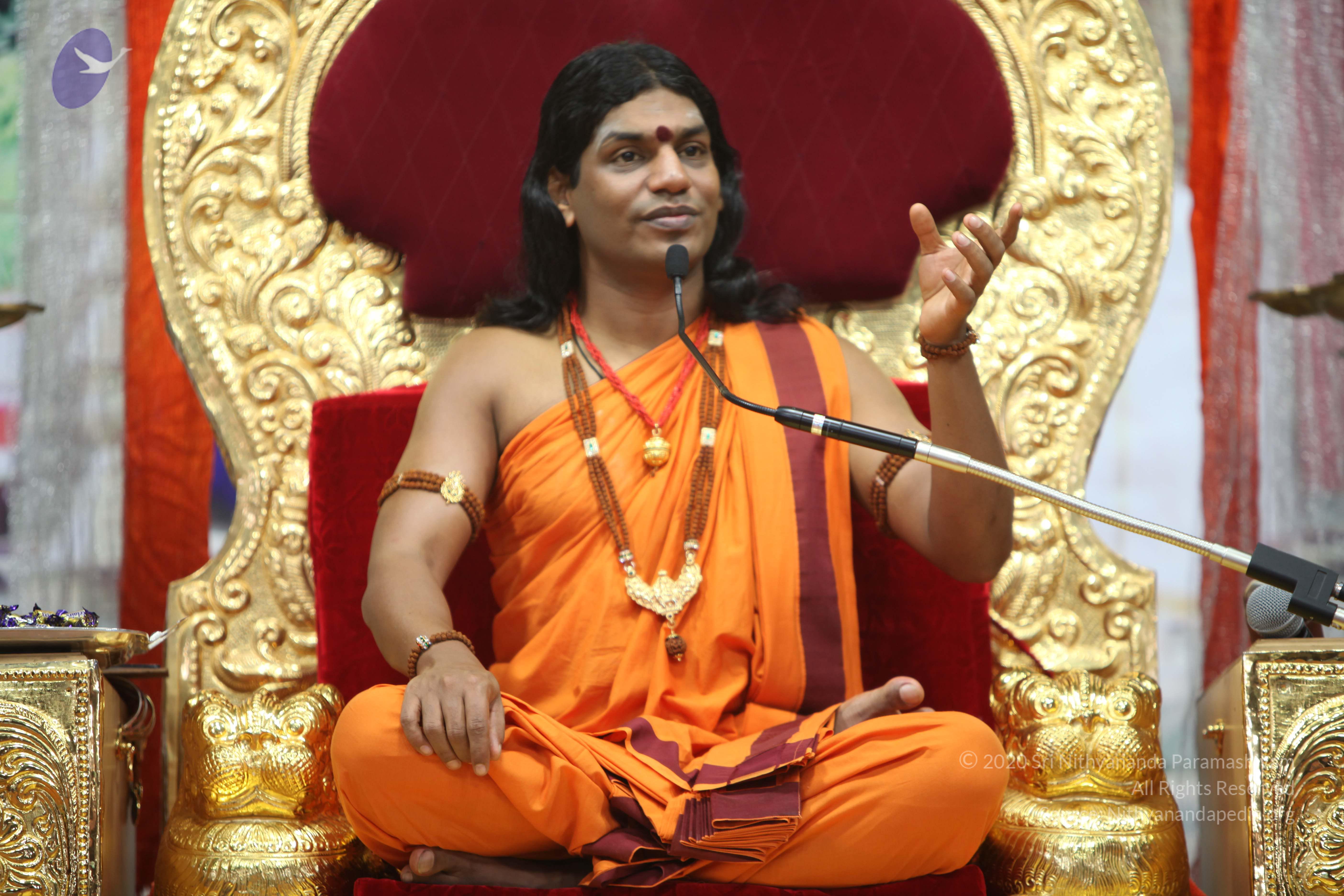 20110211_Photo_1151_IMG_7348_CMP_WM