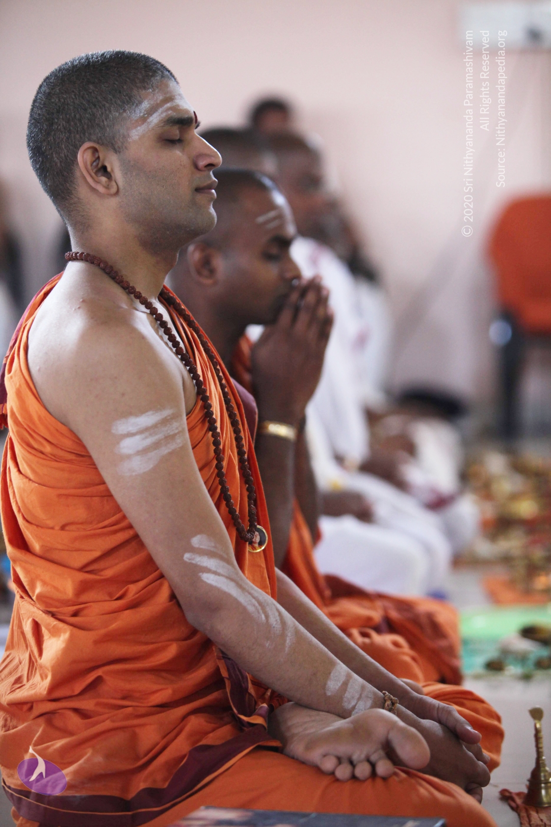 20110211_Photo_1159_IMG_7404_CMP_WM