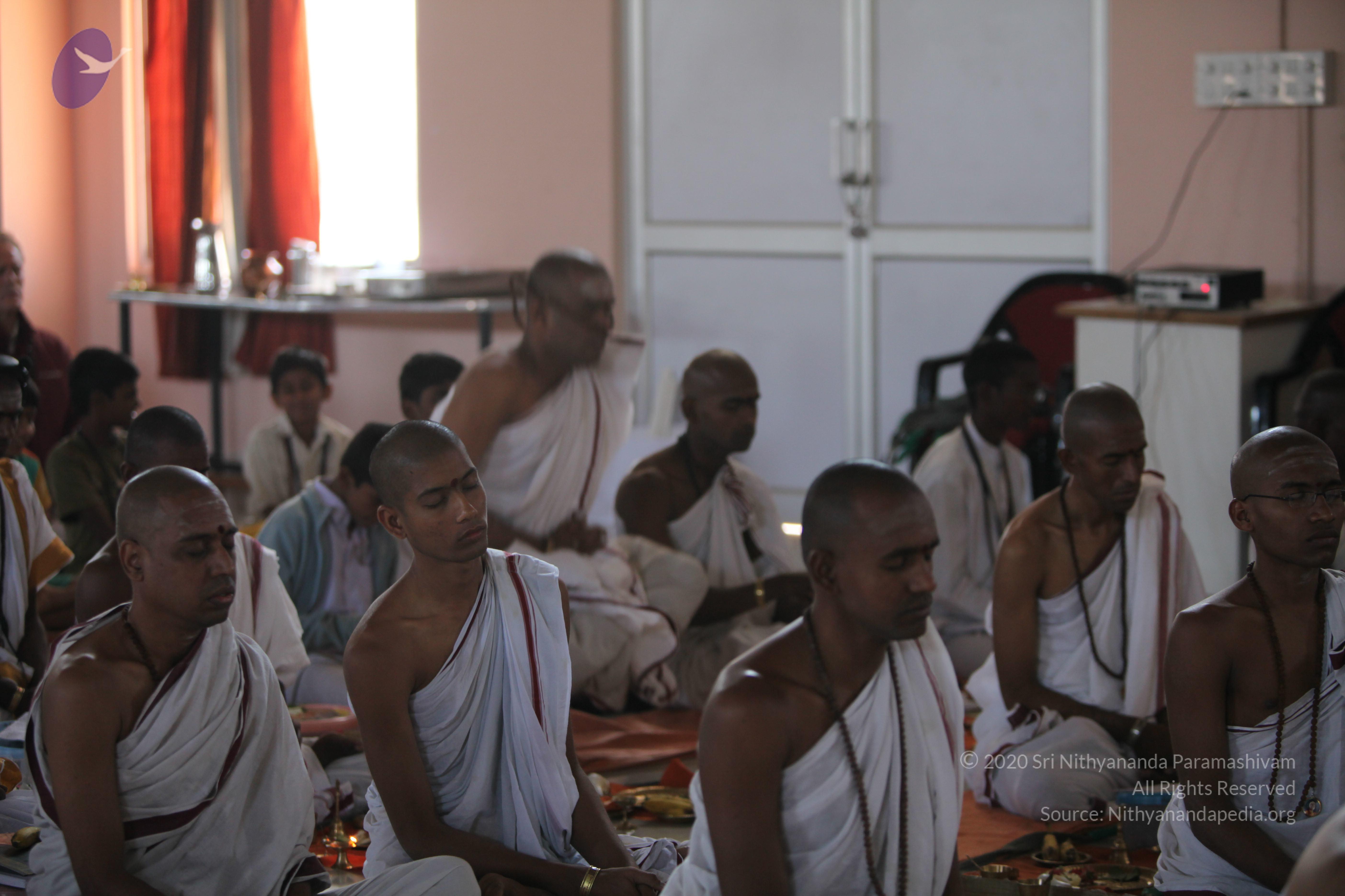 20110211_Photo_1175_IMG_7440_CMP_WM