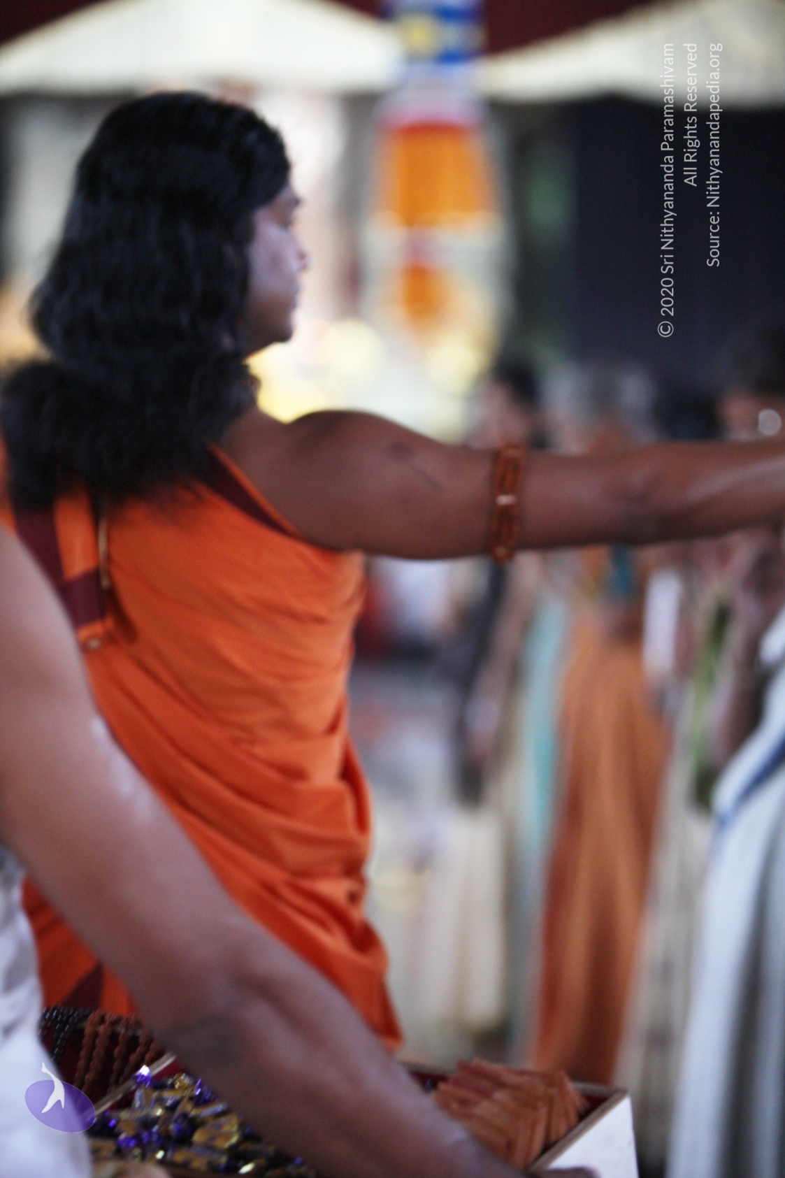 20110211_Photo_1029_IMG_7510_CMP_WM