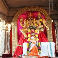 20110211_Photo_1009_IMG_7178_CMP_WM