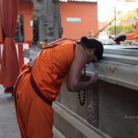 20110211_Photo_1022_IMG_7167_CMP_WM