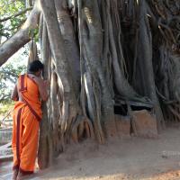 20110211_Photo_1027_IMG_7183_CMP_WM