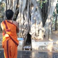 20110211_Photo_1029_IMG_7186_CMP_WM