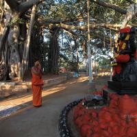 20110211_Photo_1030_IMG_7179_CMP_WM