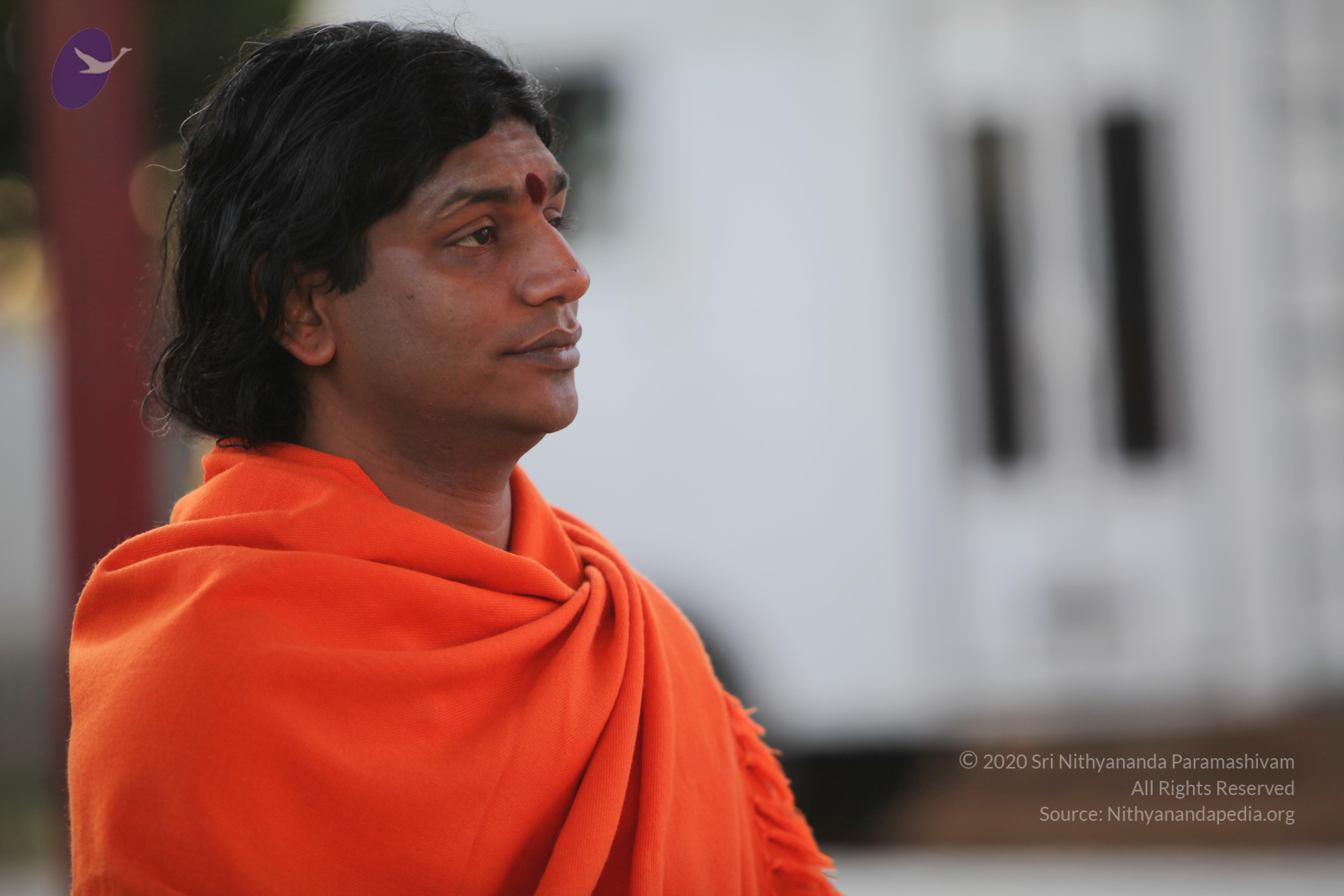 20110211_Photo_1041_IMG_7206_CMP_WM