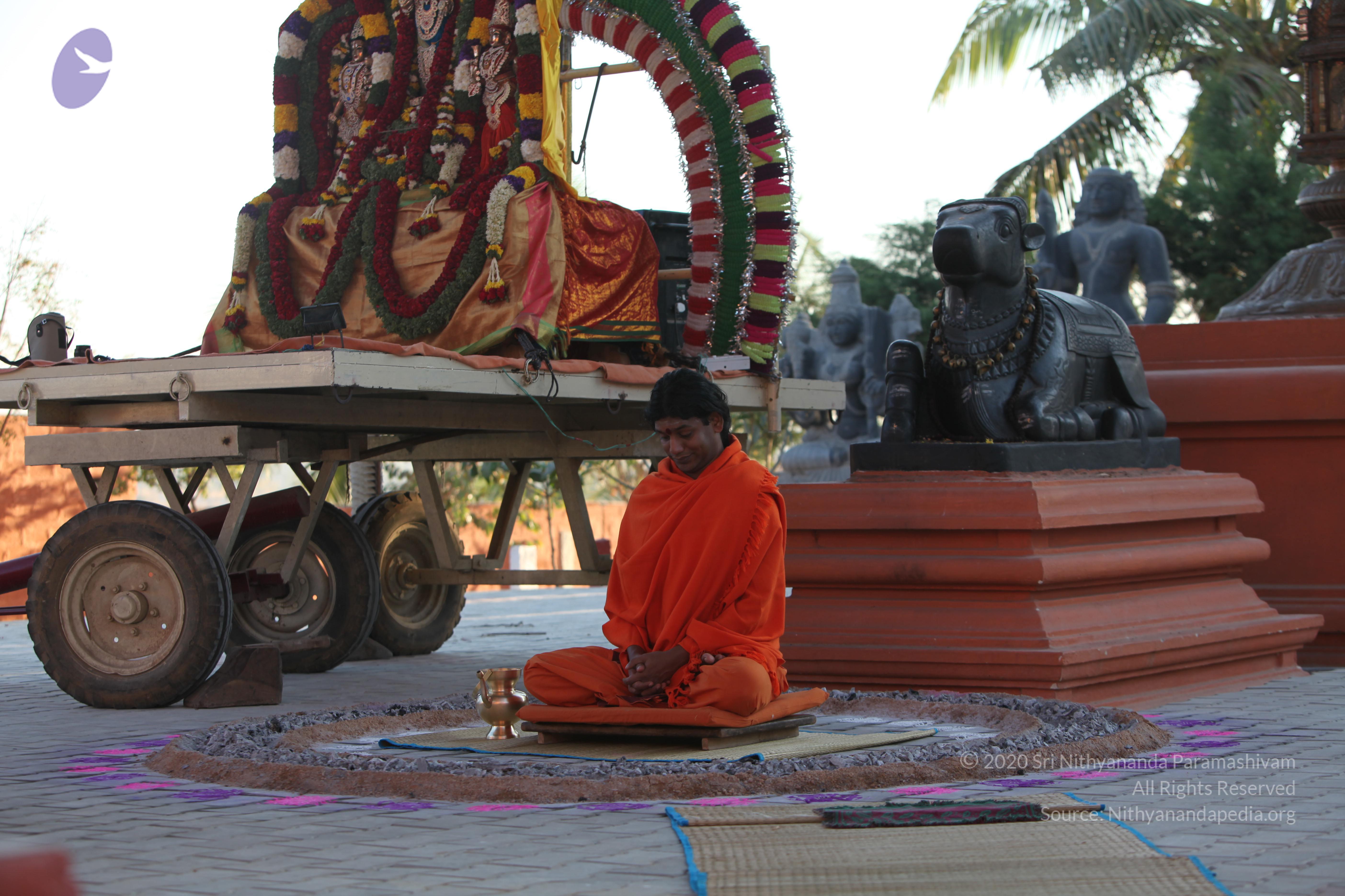 20110211_Photo_1053_IMG_7256_CMP_WM