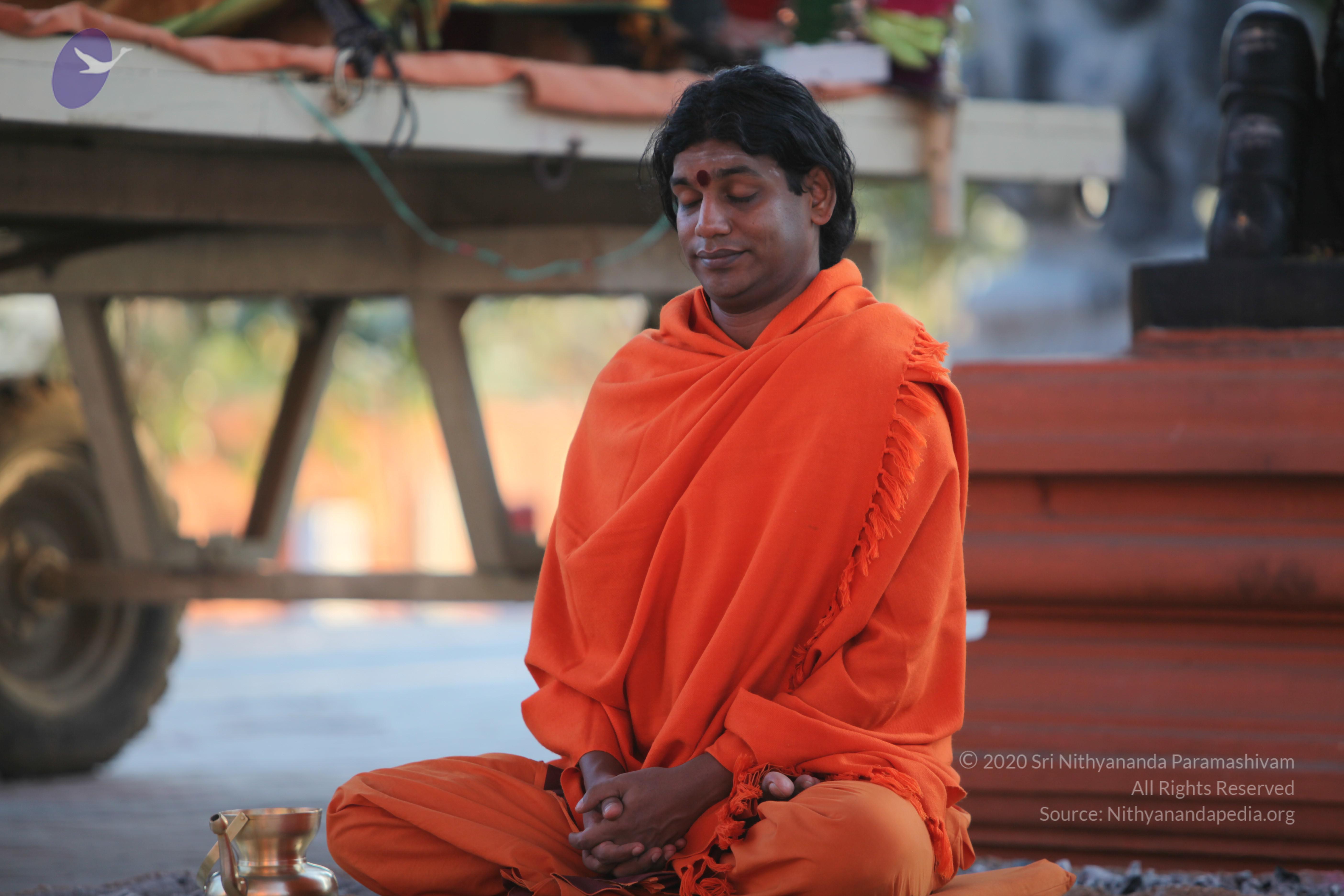 20110211_Photo_1070_IMG_7259_CMP_WM