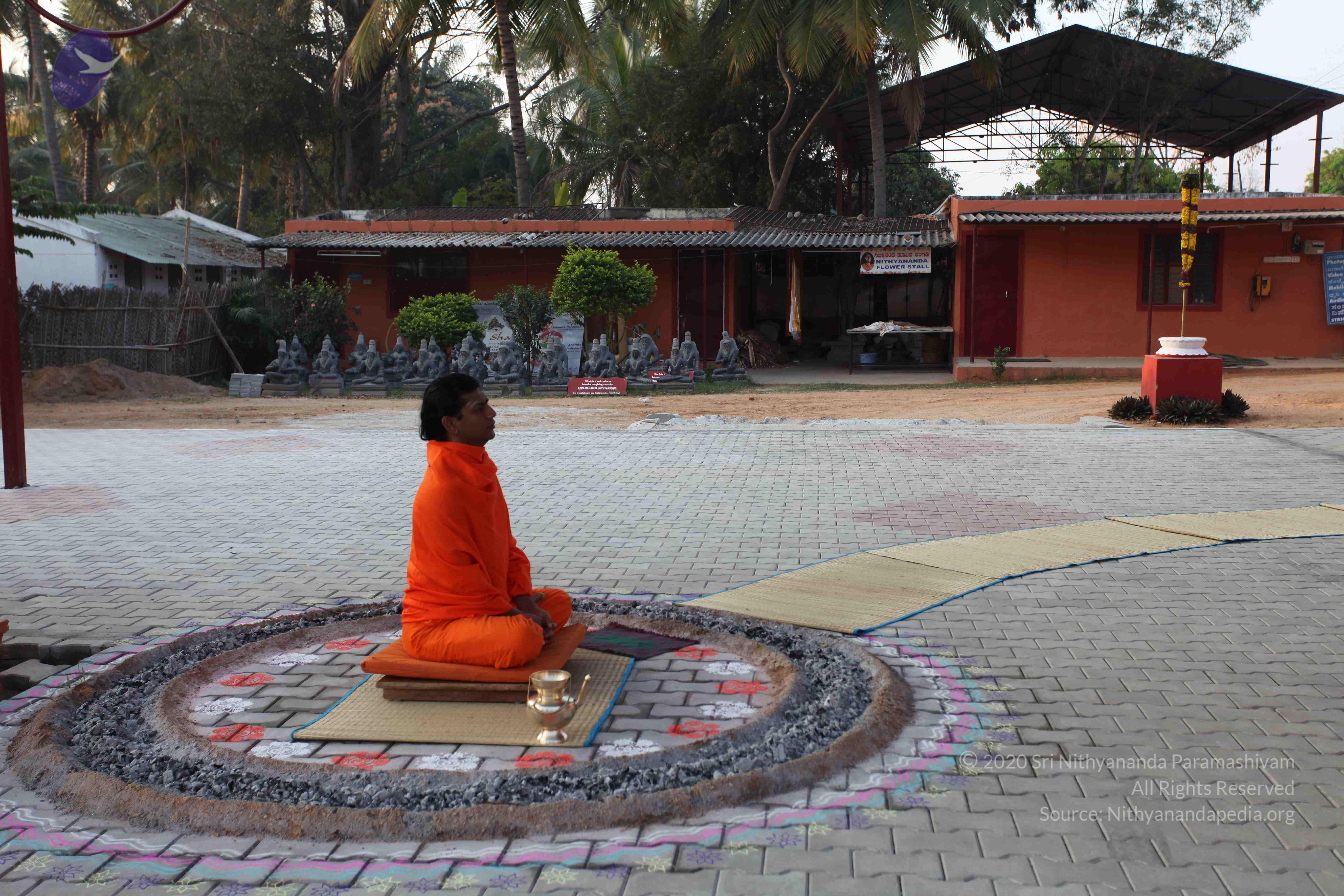 20110217_Photo_1171_IMG_1367_CMP_WM