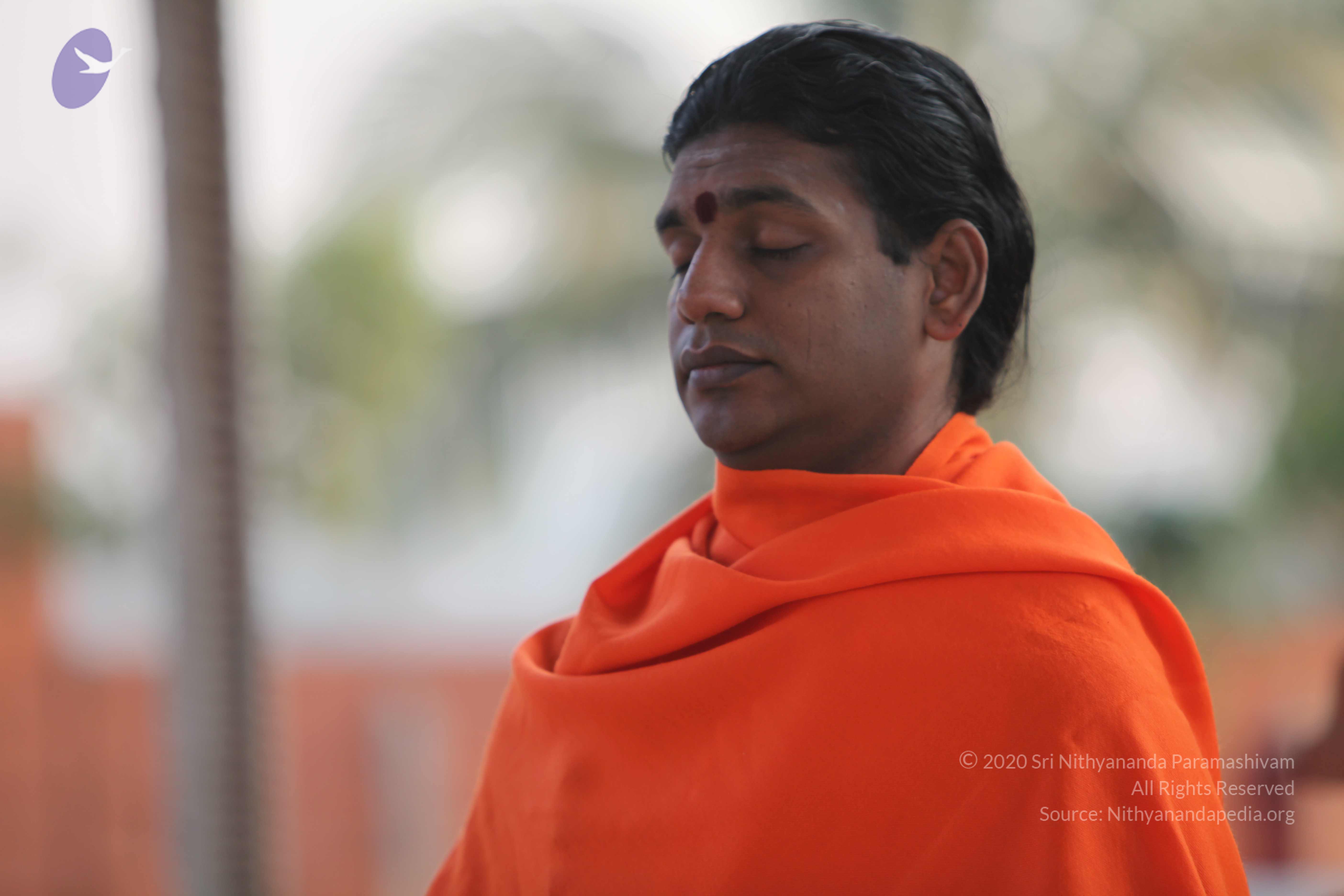 20110217_Photo_1284_IMG_1413_CMP_WM