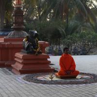 20110217_Photo_1199_IMG_1390_CMP_WM