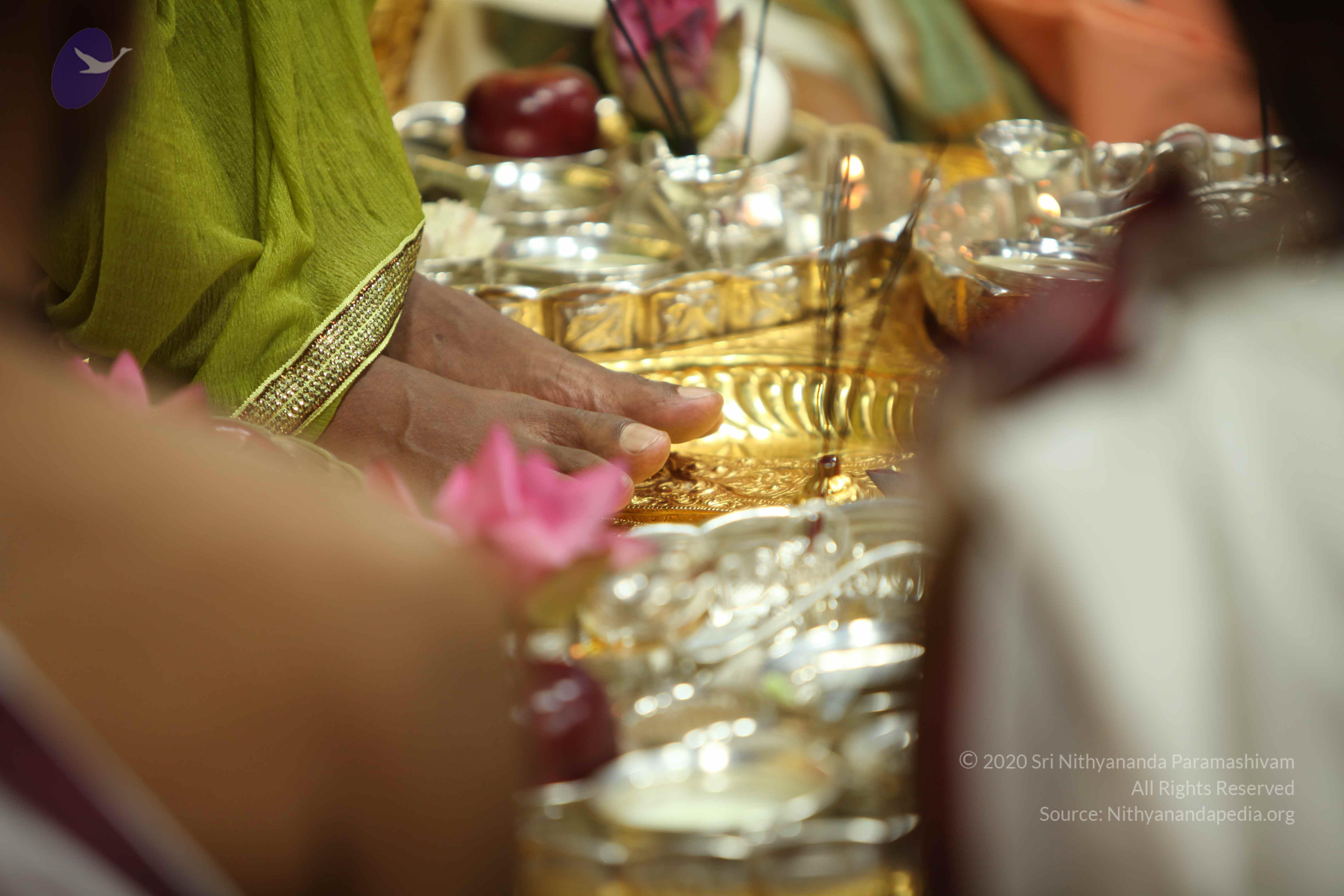 20110217_Photo_1217_IMG_1473_CMP_WM