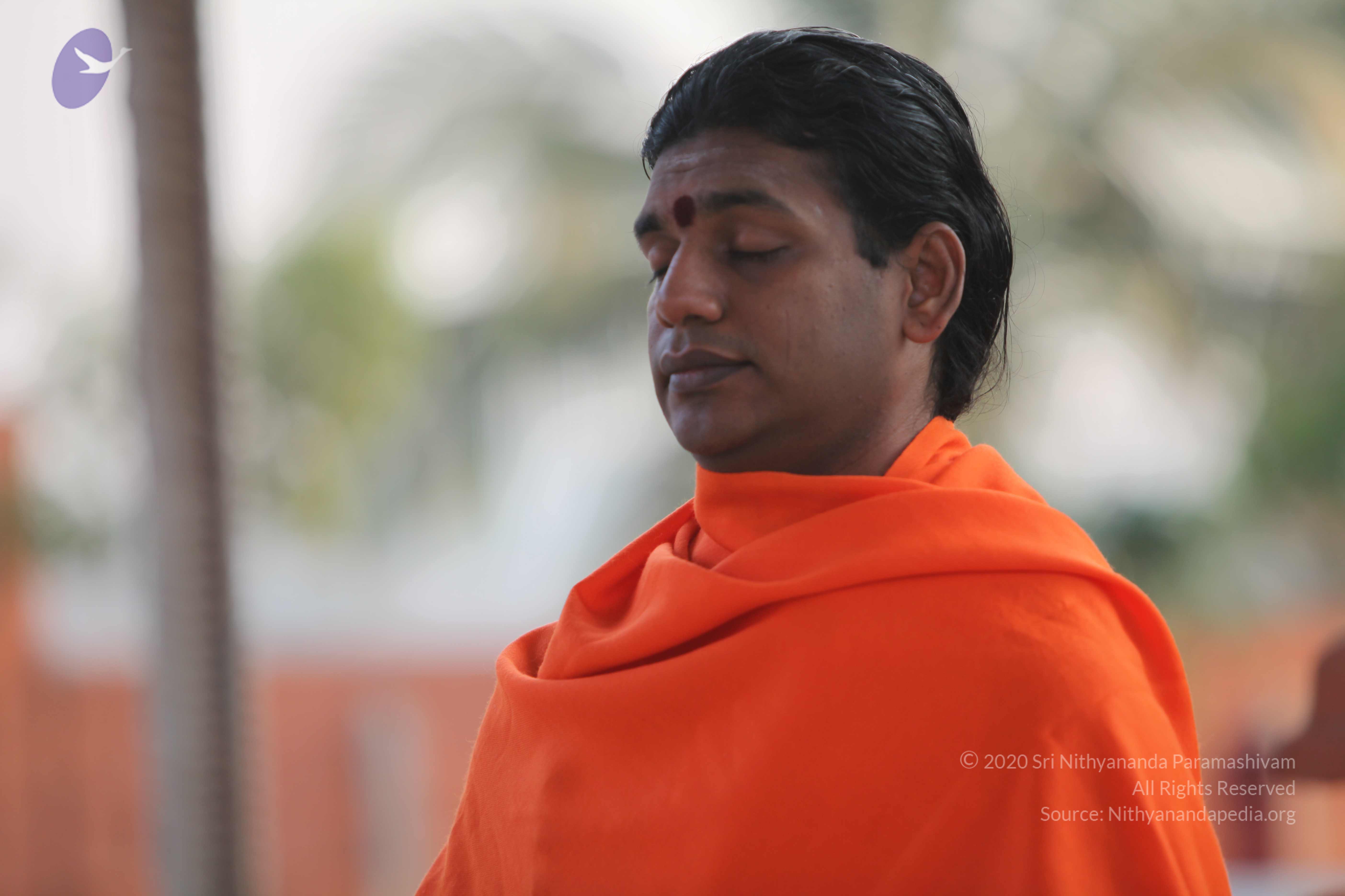 20110217_Photo_1220_IMG_1411_CMP_WM