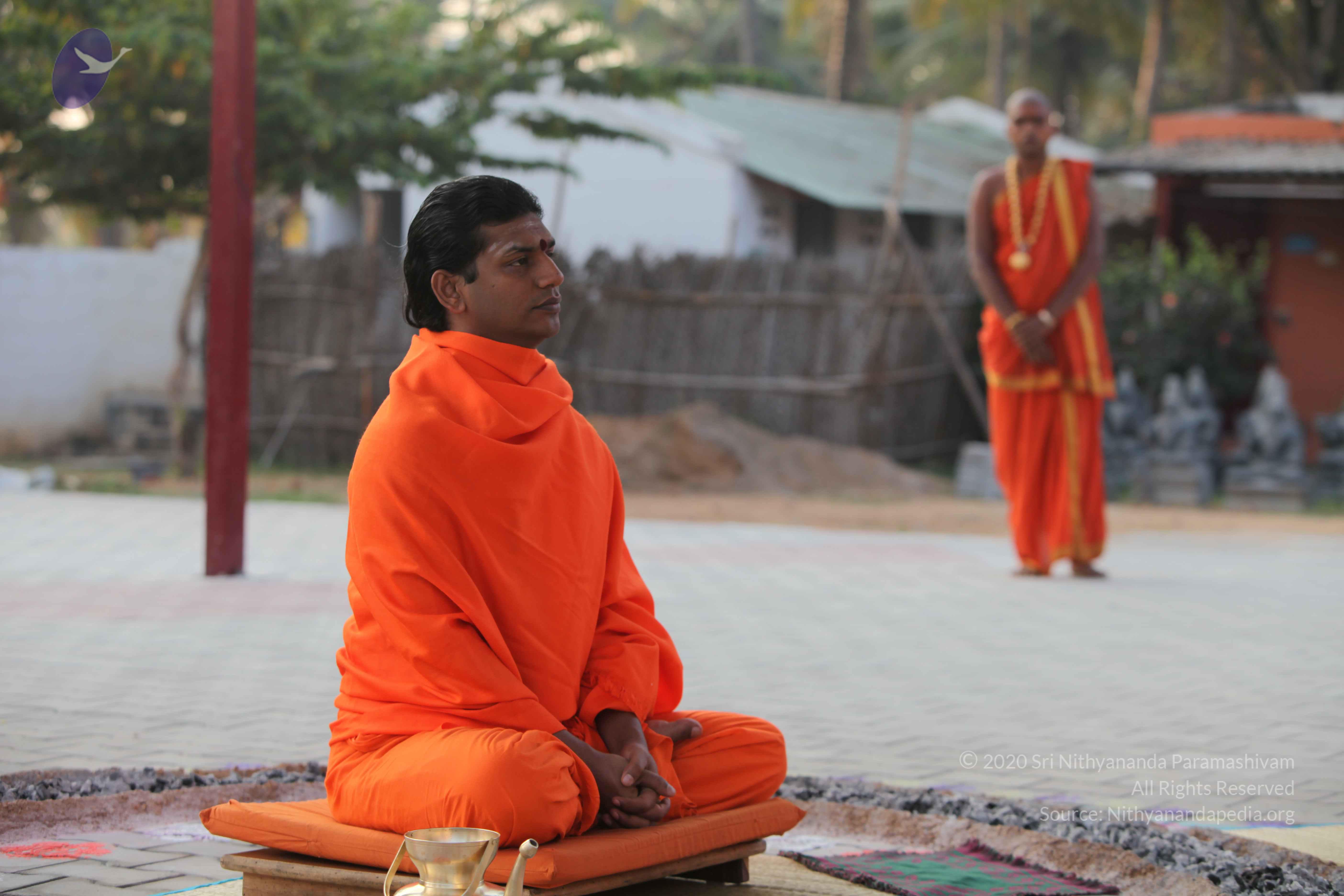 20110217_Photo_1223_IMG_1374_CMP_WM