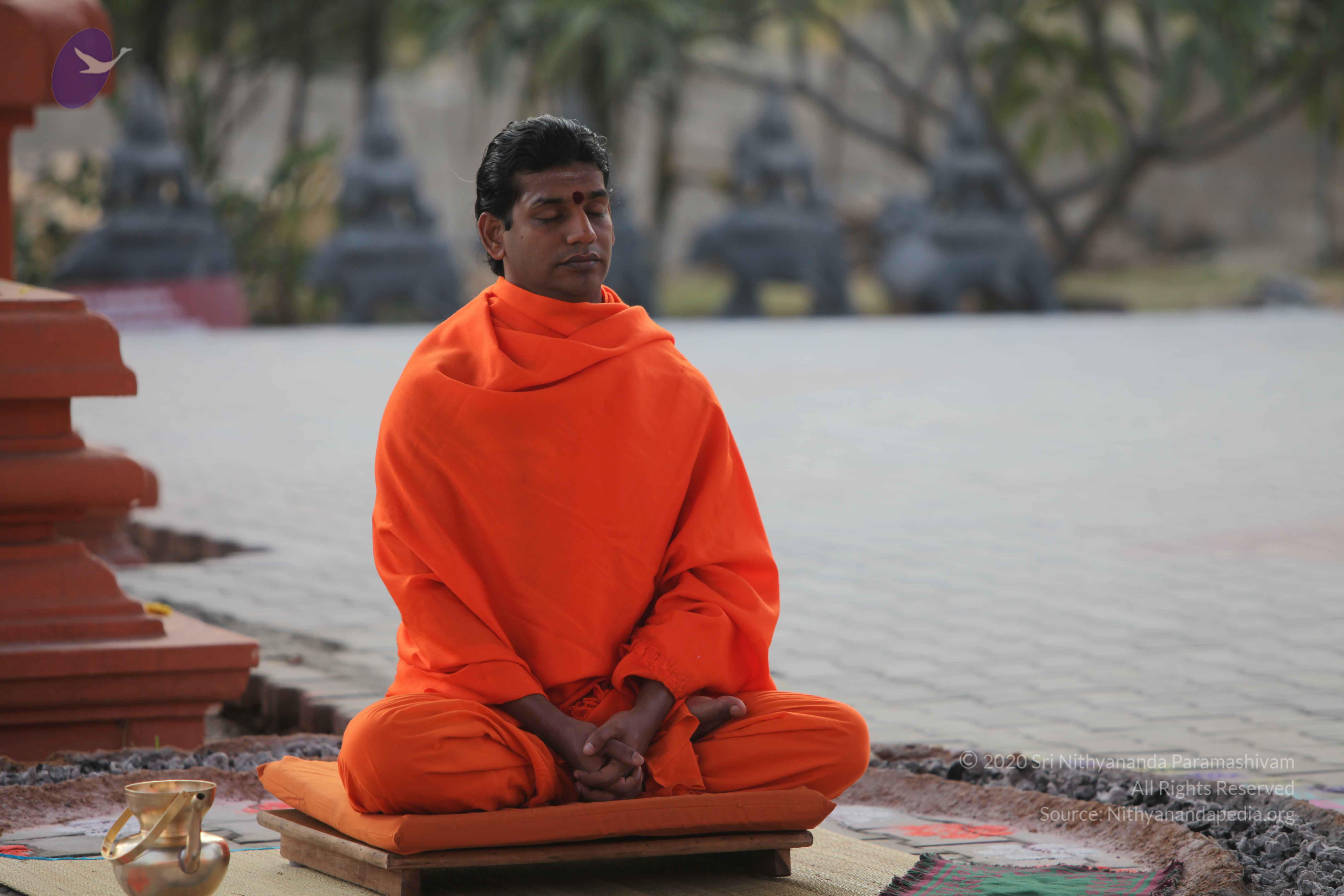 20110217_Photo_1286_IMG_1392_CMP_WM