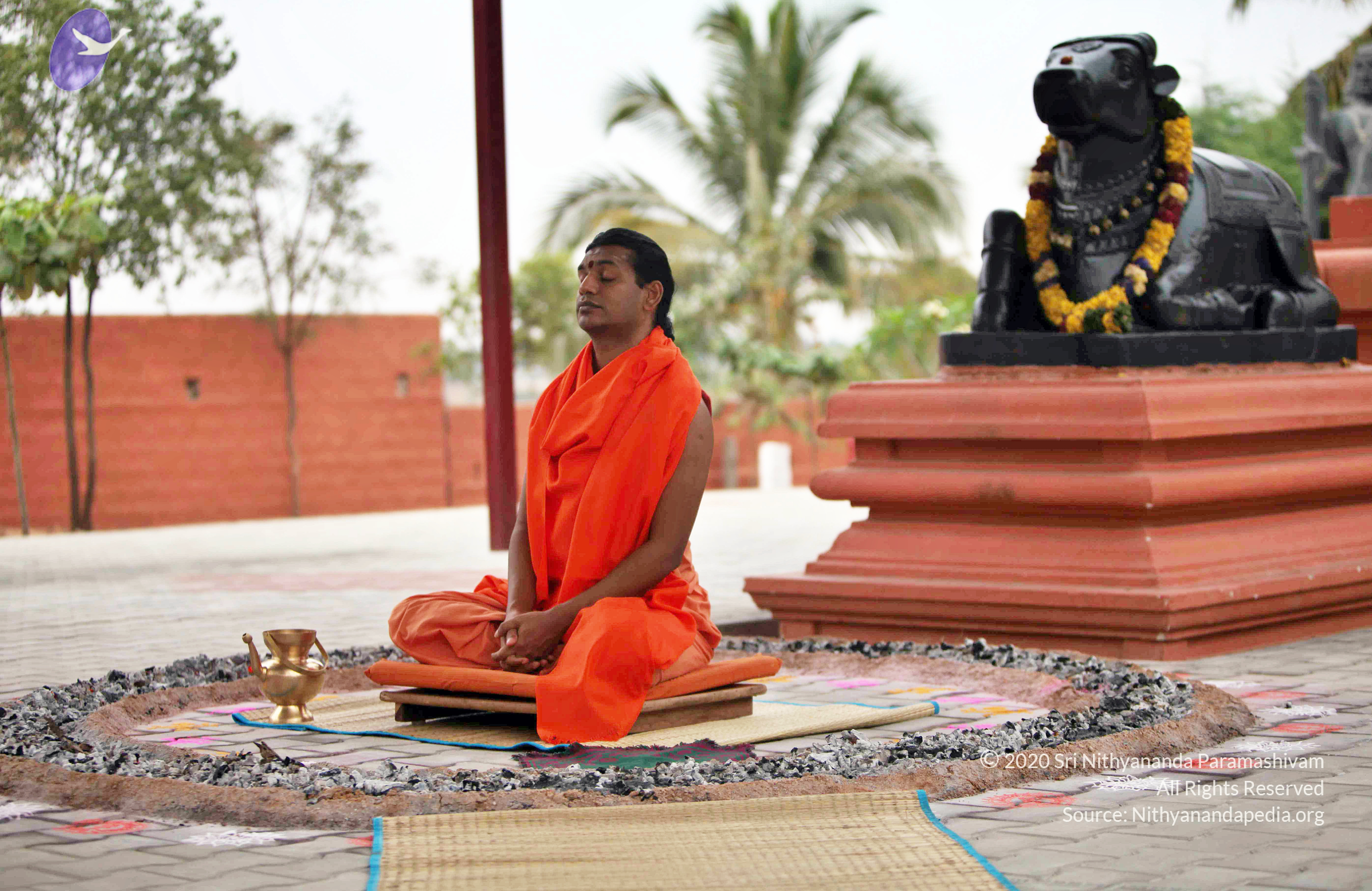 20110222_Photo_1001_IMG_9017_CMP_WM