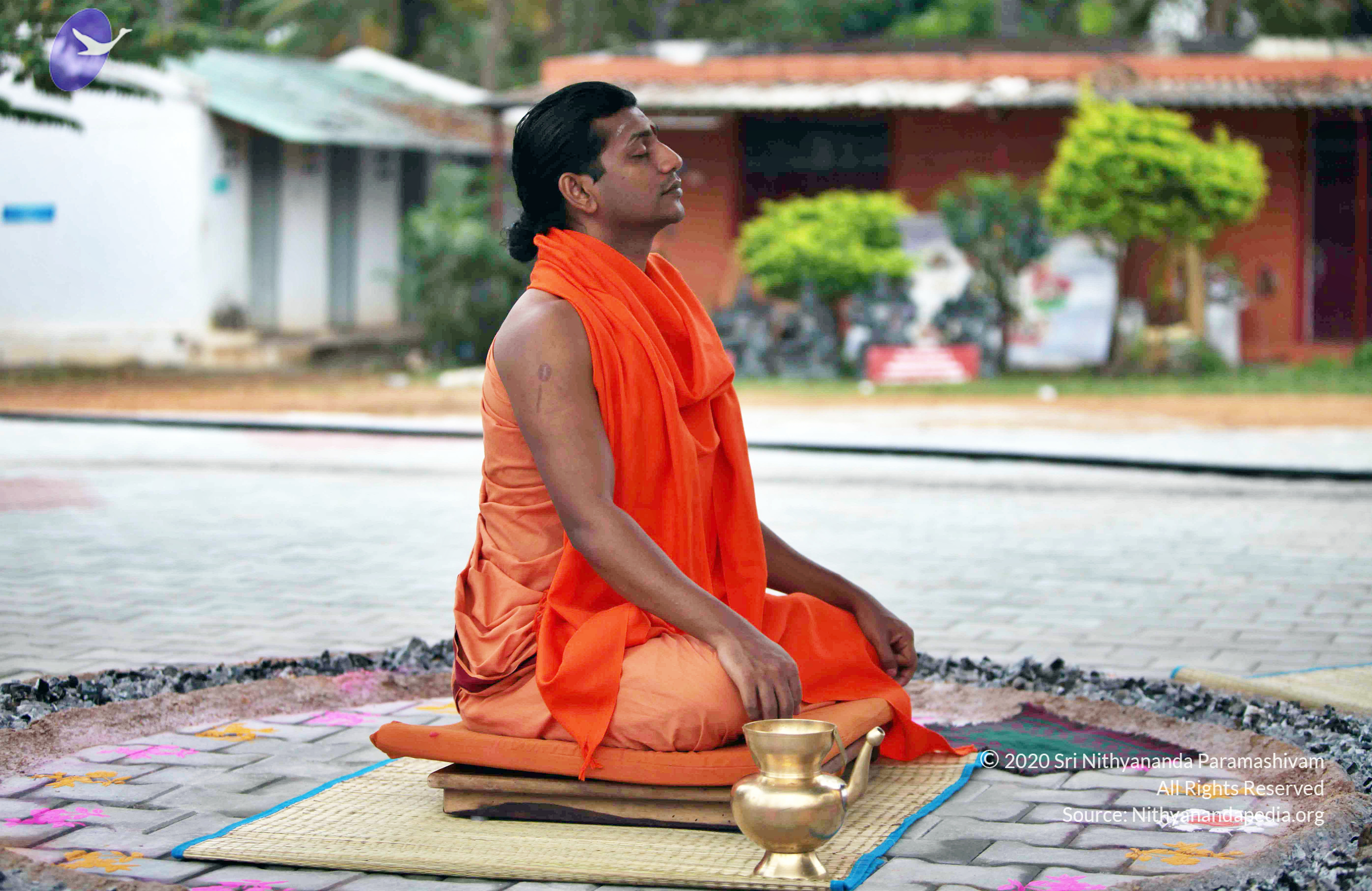 20110222_Photo_1006_IMG_8991_CMP_WM