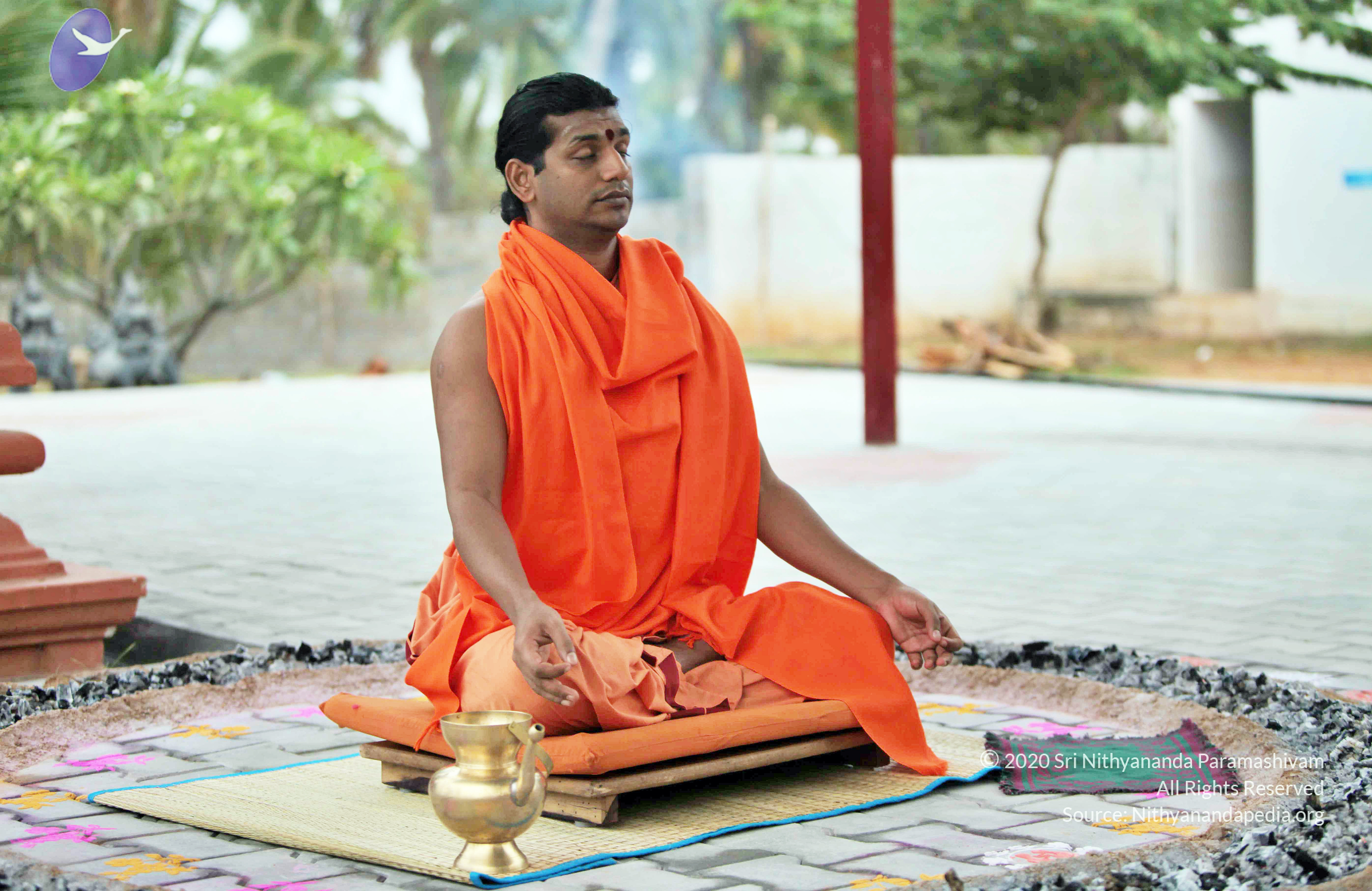 20110222_Photo_1014_IMG_8996_CMP_WM