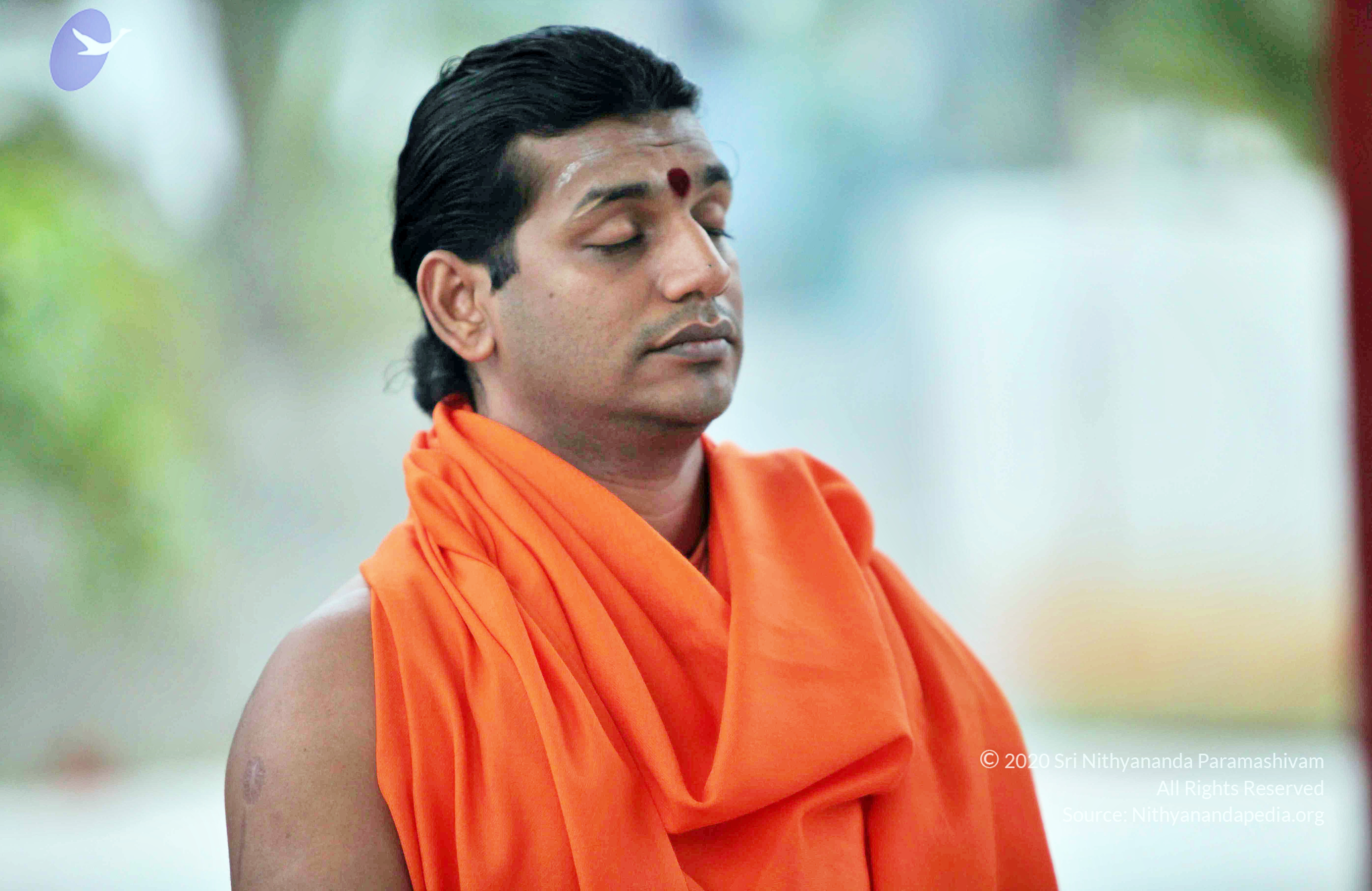 20110222_Photo_1015_IMG_9001_CMP_WM